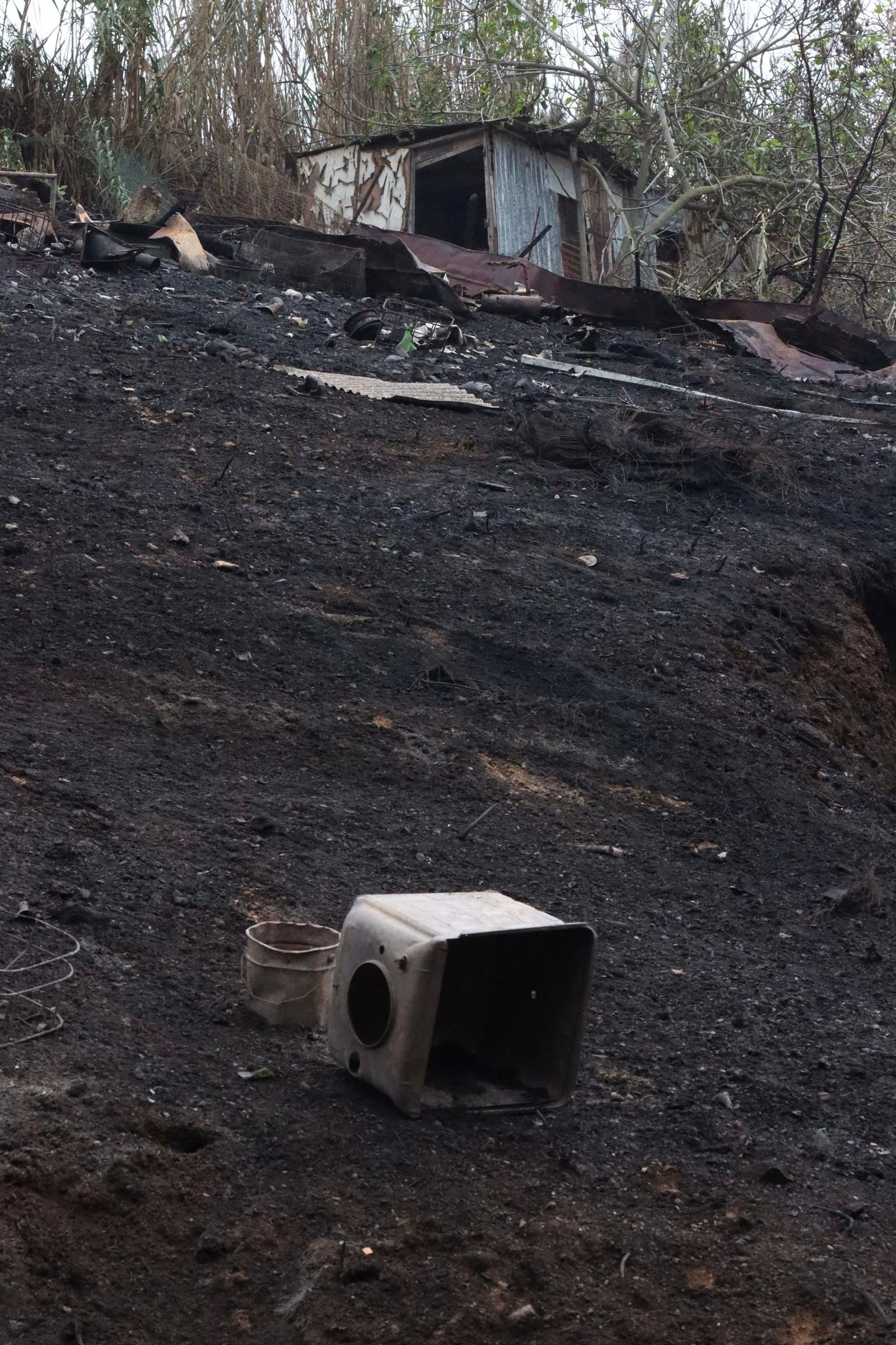 Zona calcinada del Pantano tras el incendio Zona calcinada del Pantano tras el incendio