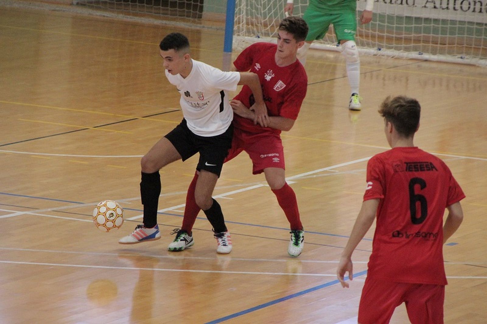 Los caballas quieren hacer valer el factor cancha. / FOTO ARCHIVO