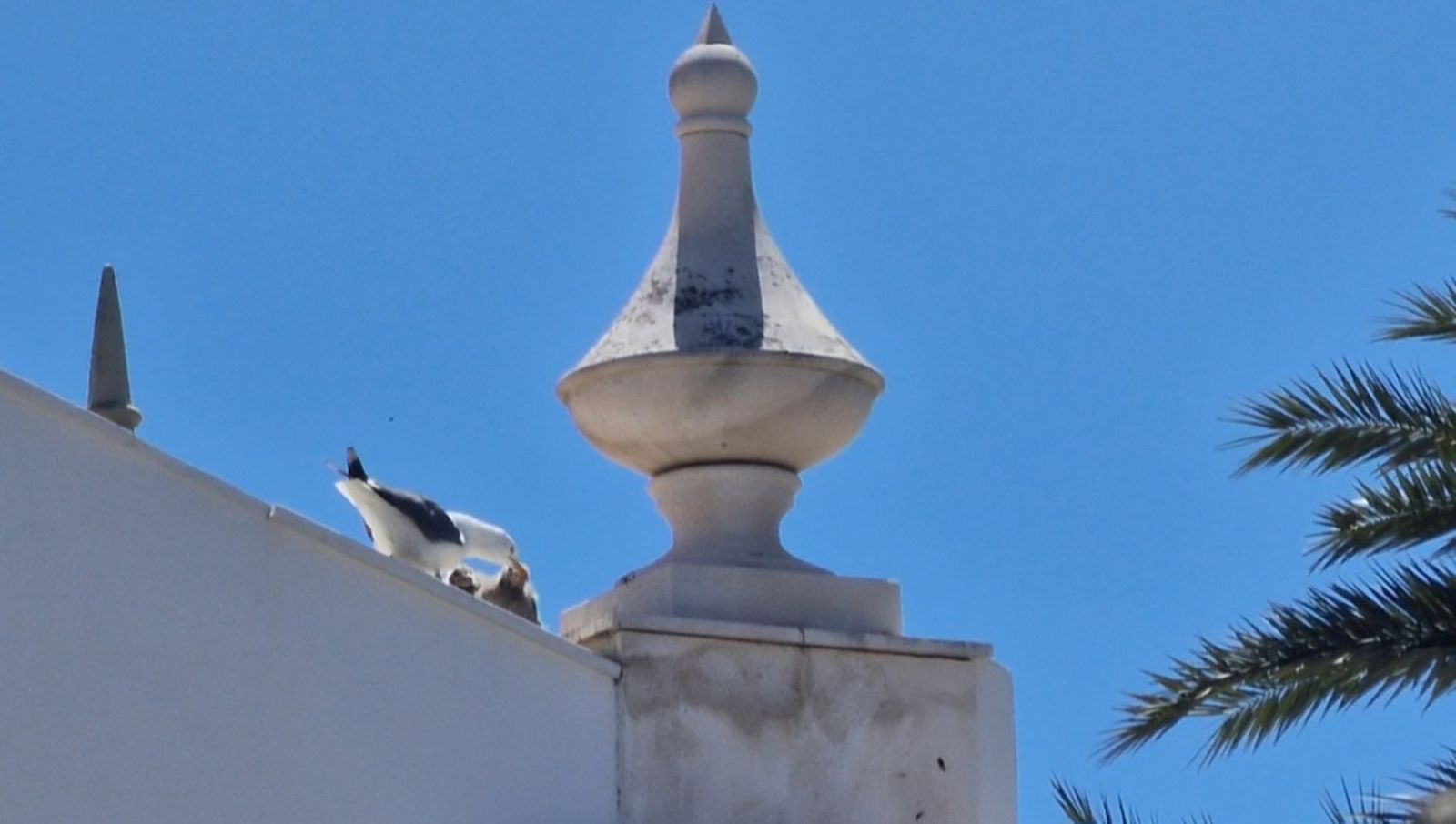 3409_screenshot_20250603_070920_gallery