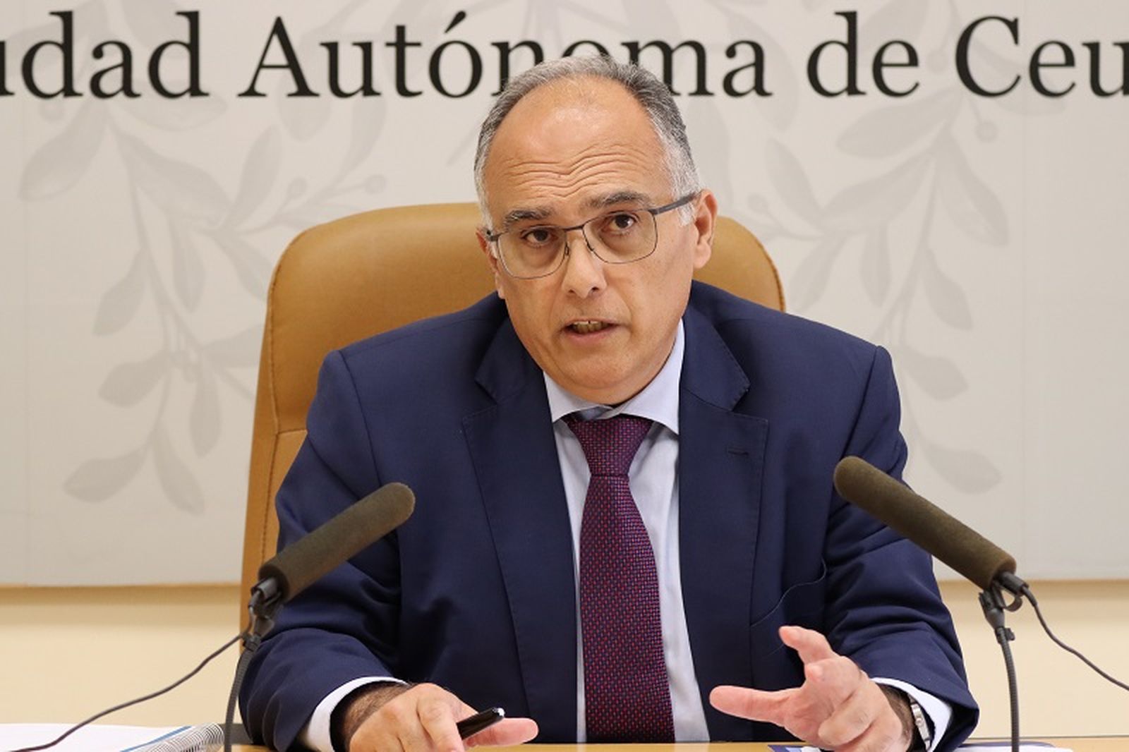 Alberto Gaitán en la comparecencia tras el Consejo de Gobierno./ FOTO REDUAN