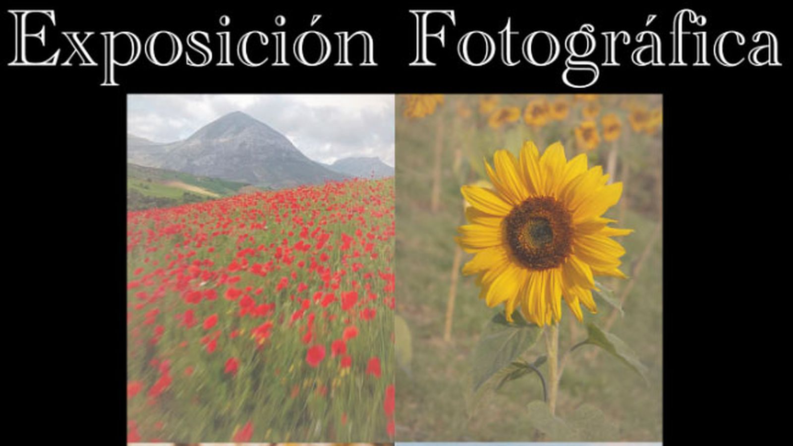 Cartel de la exposición