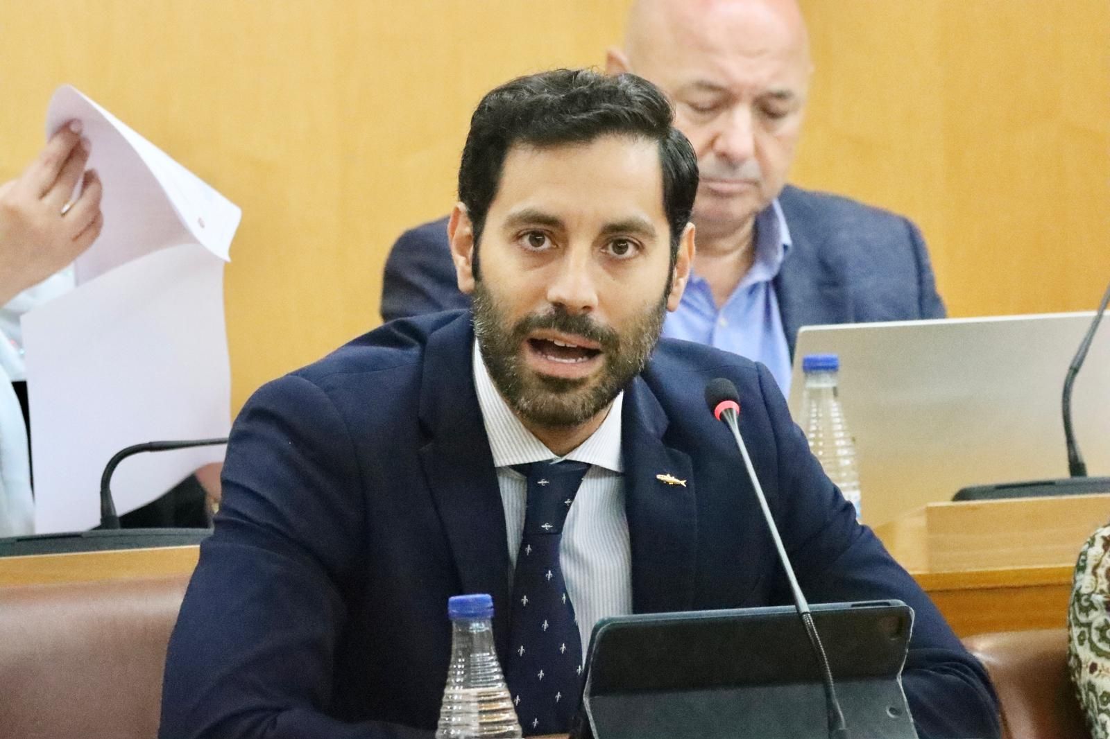 El consejero de Urbanismo, Rafael Peñalver, durante el pleno