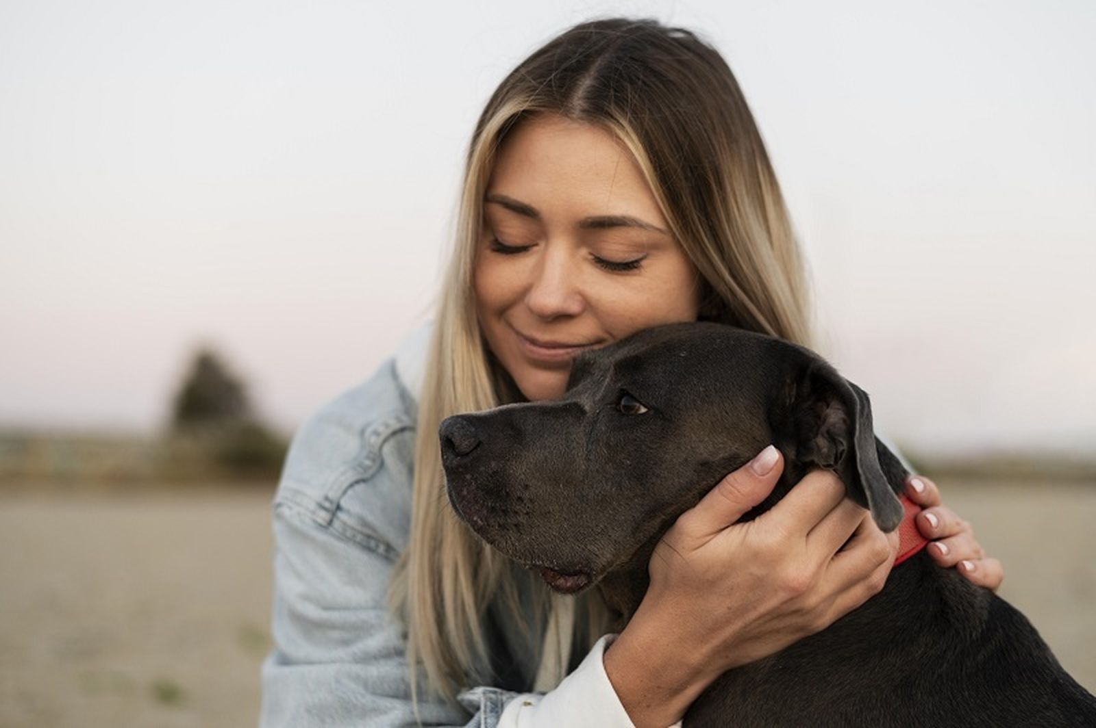 6382_abrazo-mujer-perro