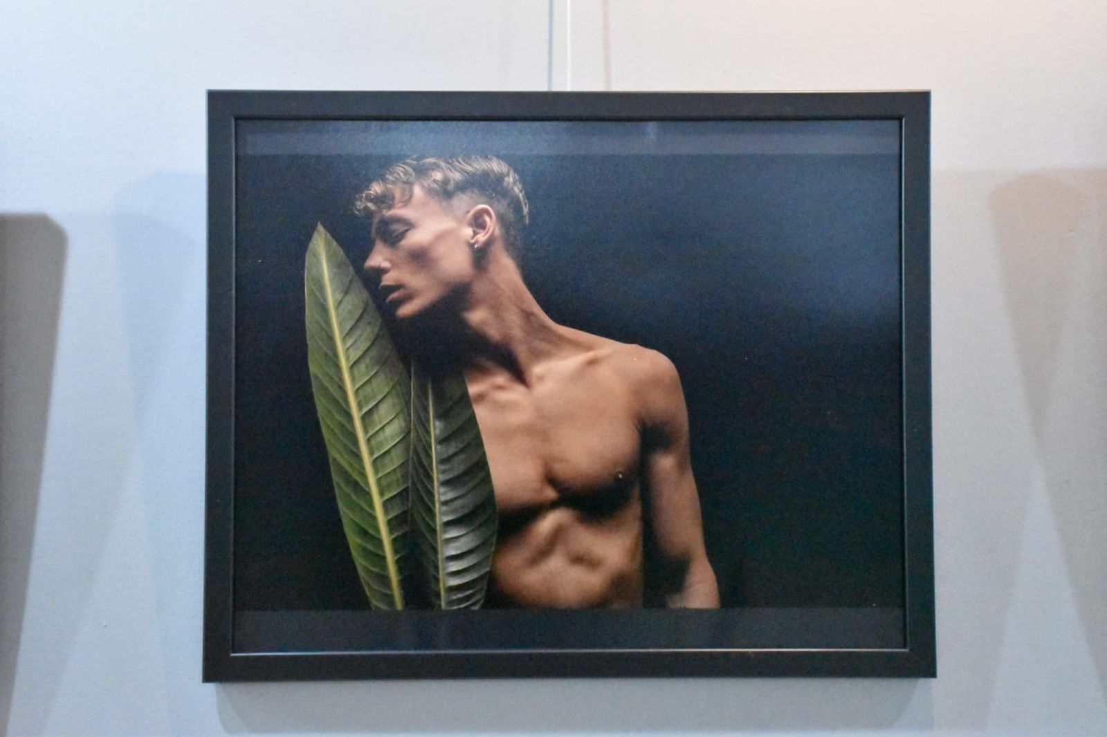 8617_whatsapp-image-2025-05-08-at-1930004_11zon