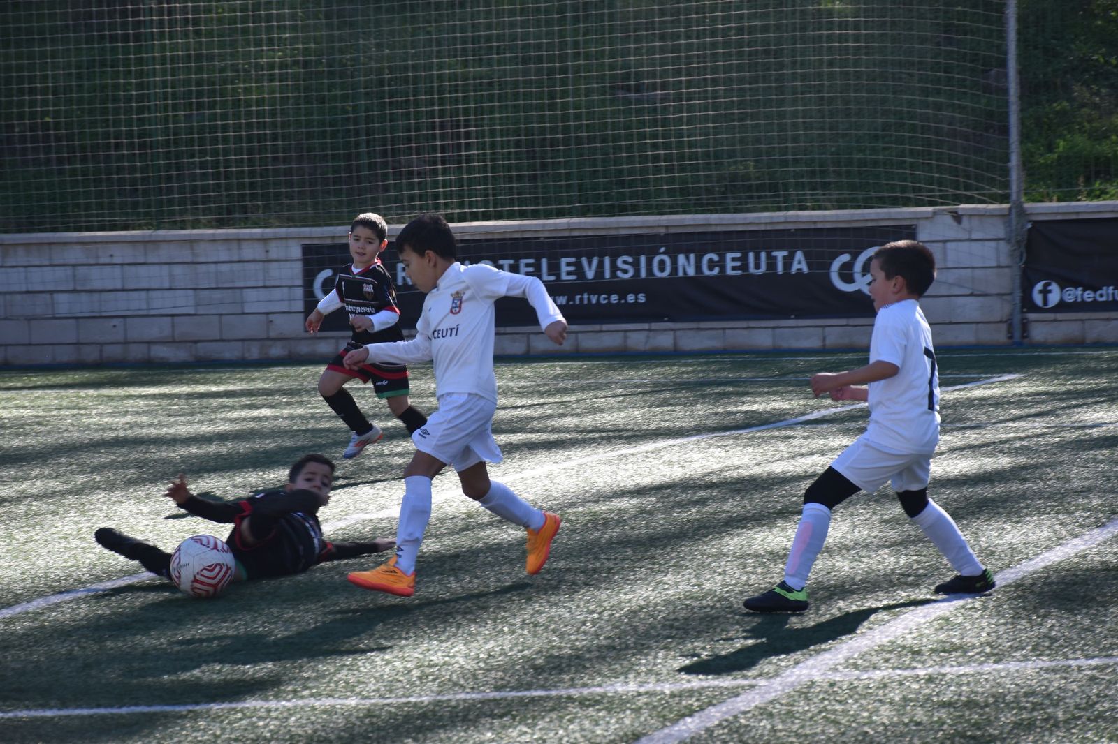 Cinco equipos lideran