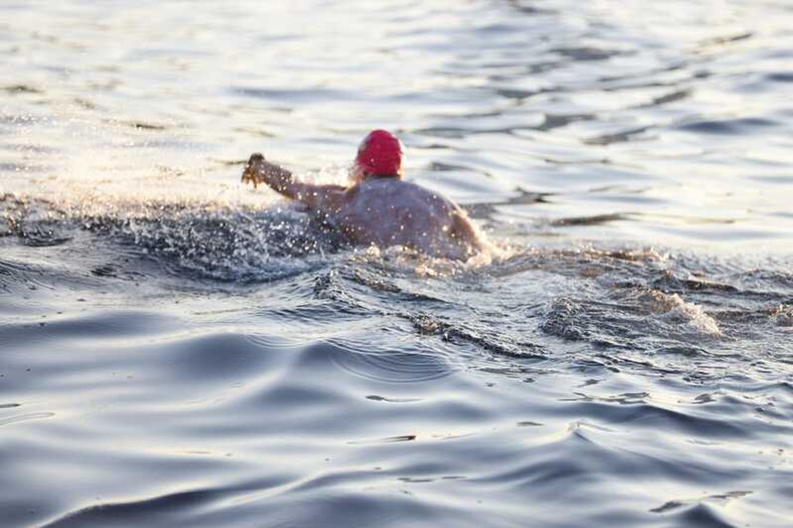 FOTO FOTÓGRAFOS SOLIDARIOS