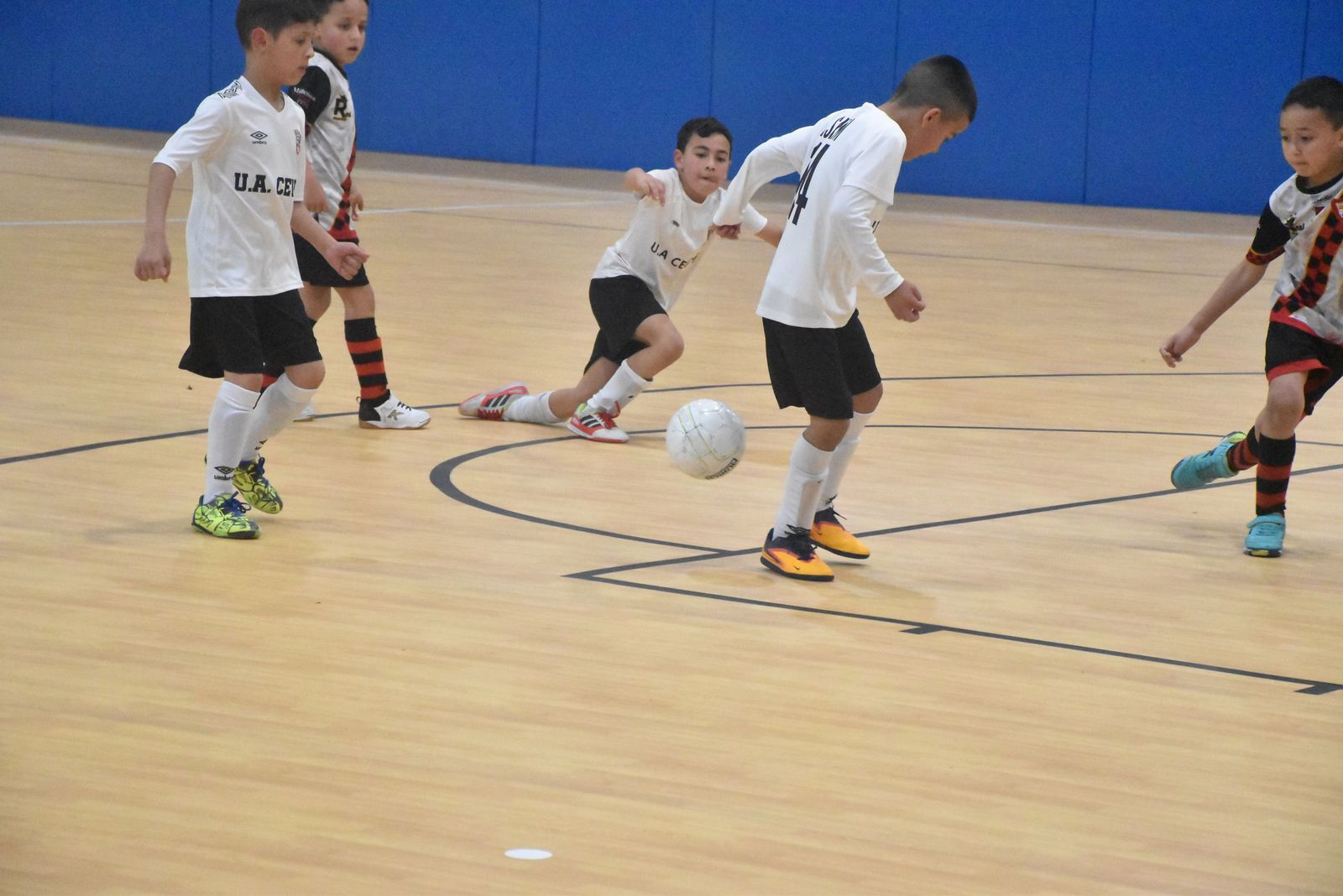 Competición de la Liga Prebenjamín de Fútbol-sala