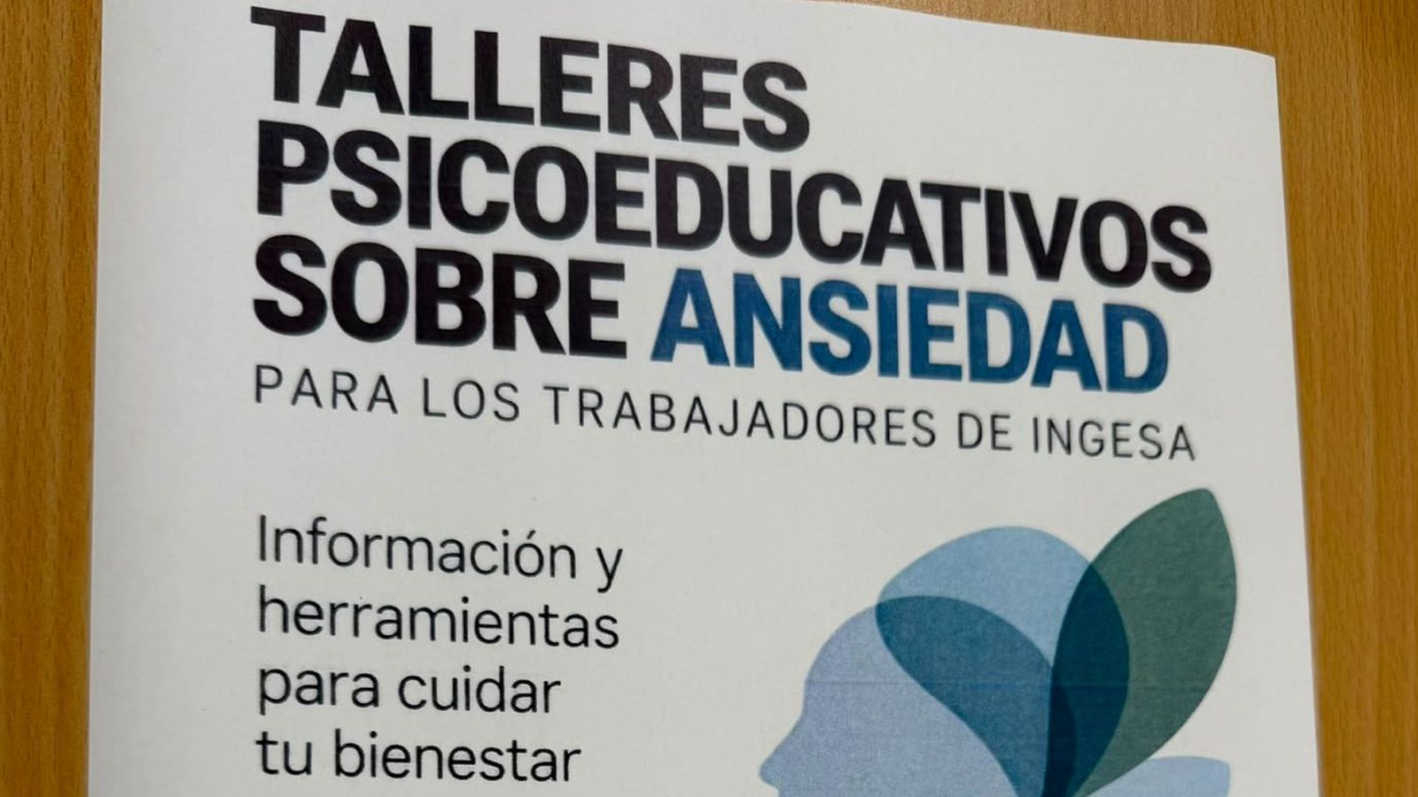 Cartel de los talleres puestos en marcha por INGESA