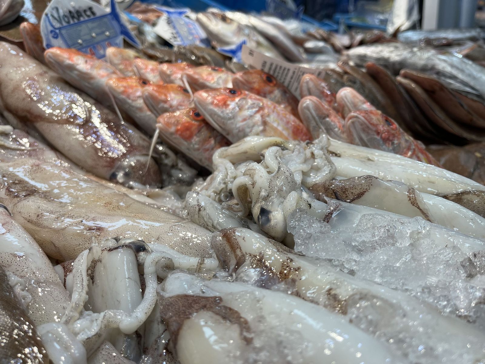 Imágenes de la pescadería de Younes en el Mercado Central.