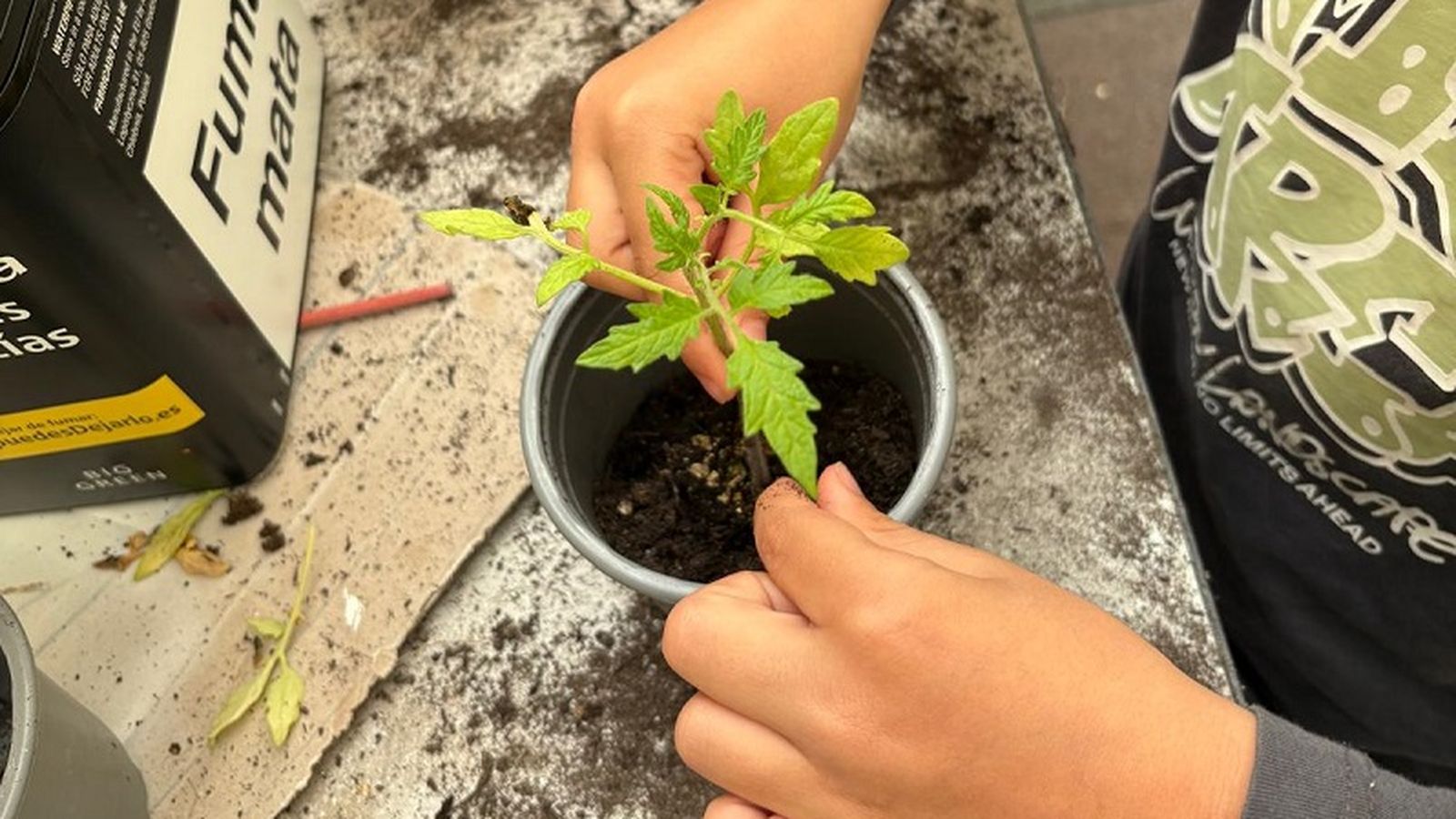 Ceuta impulsa la educación ambiental en las aulas a través de los huertos escolares
