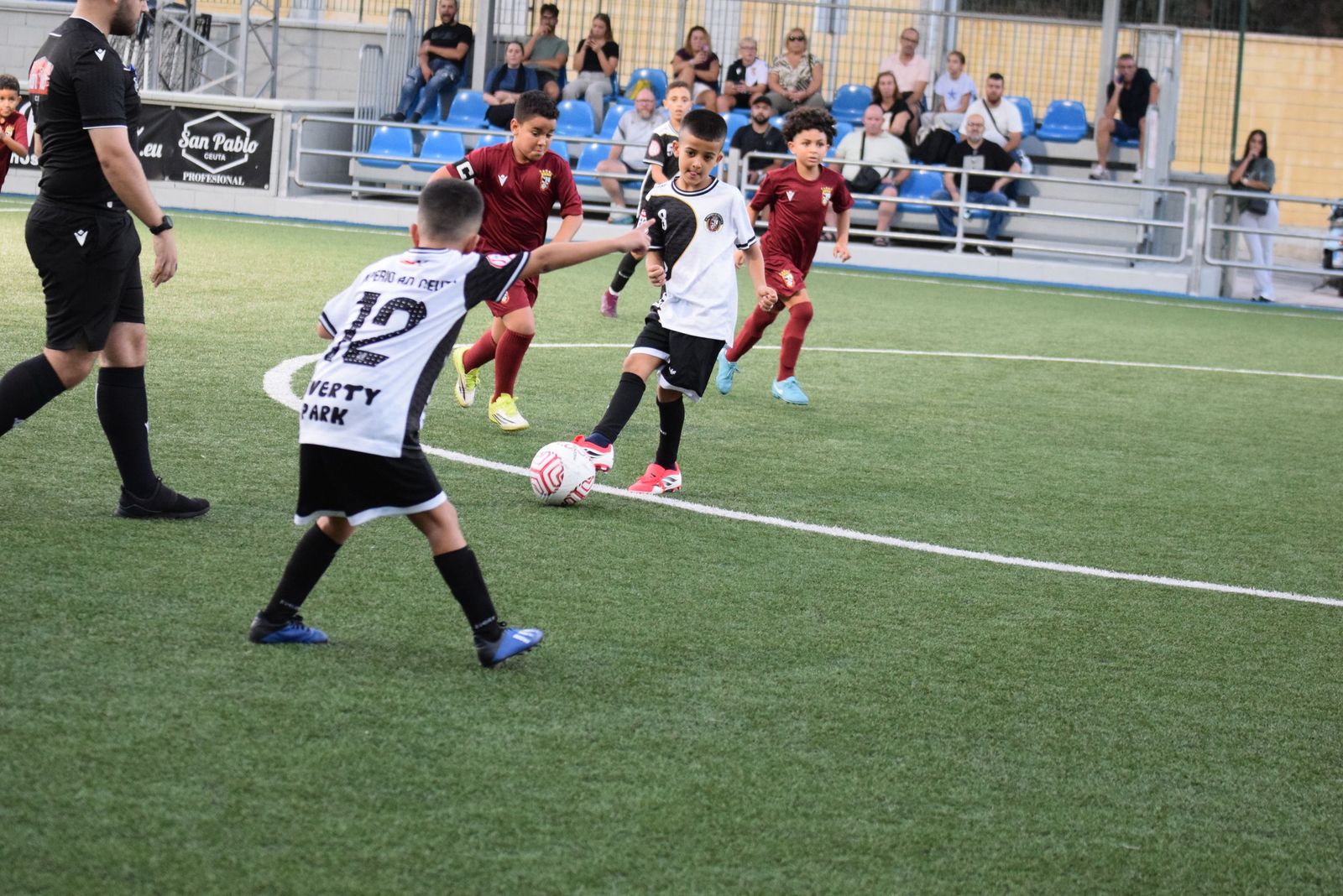 Liga Benjamín