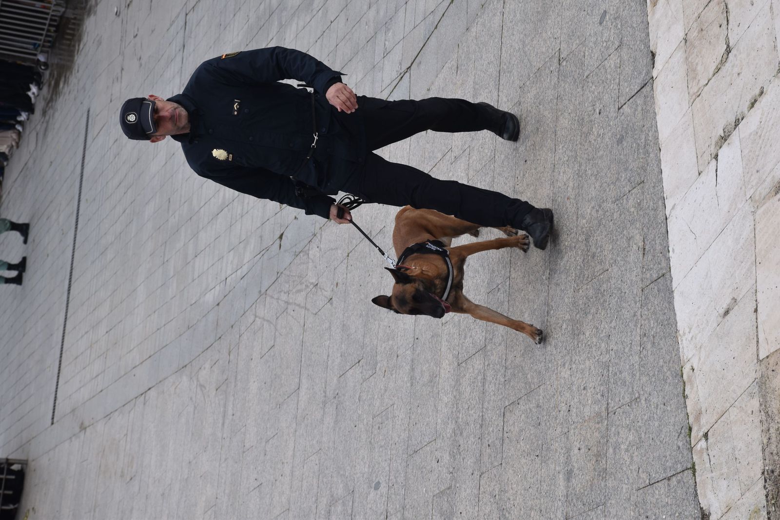 FOTOGALERÍA | Miles de corredores toman la salida en la X Cuna de la Legión: mira las imágenes
