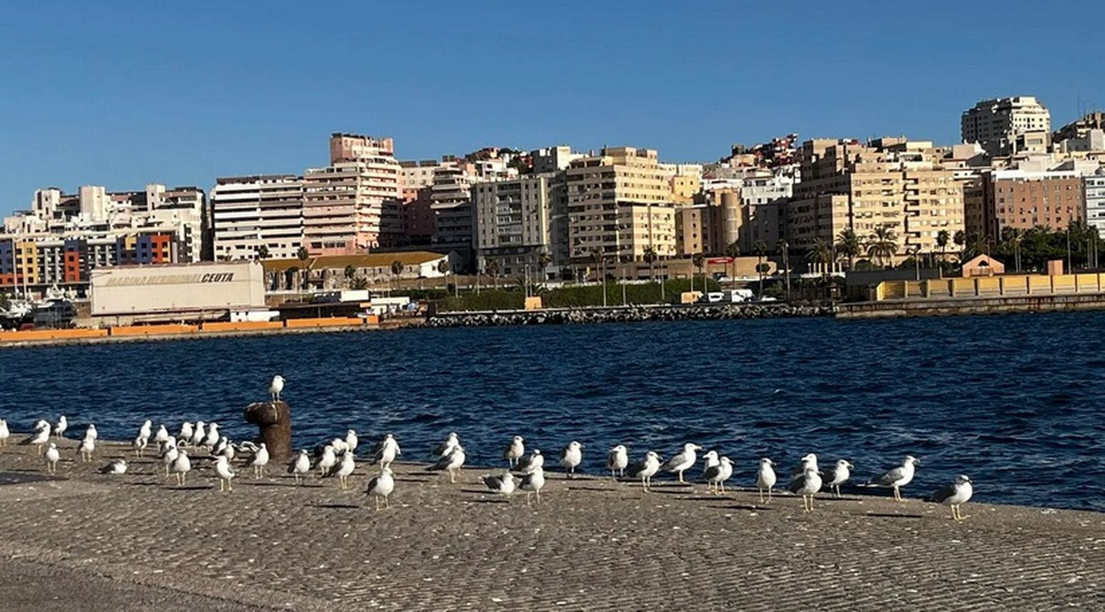 En cuanto a los avisos meteorológicos, no se espera ninguno activo para la jornada del jueves en Ceuta, lo que confirma la estabilidad general del tiempo. En cuanto a los avisos meteorológicos, no se espera ninguno activo para la jornada del jueves en Ceuta, lo que confirma la estabilidad general del tiempo.