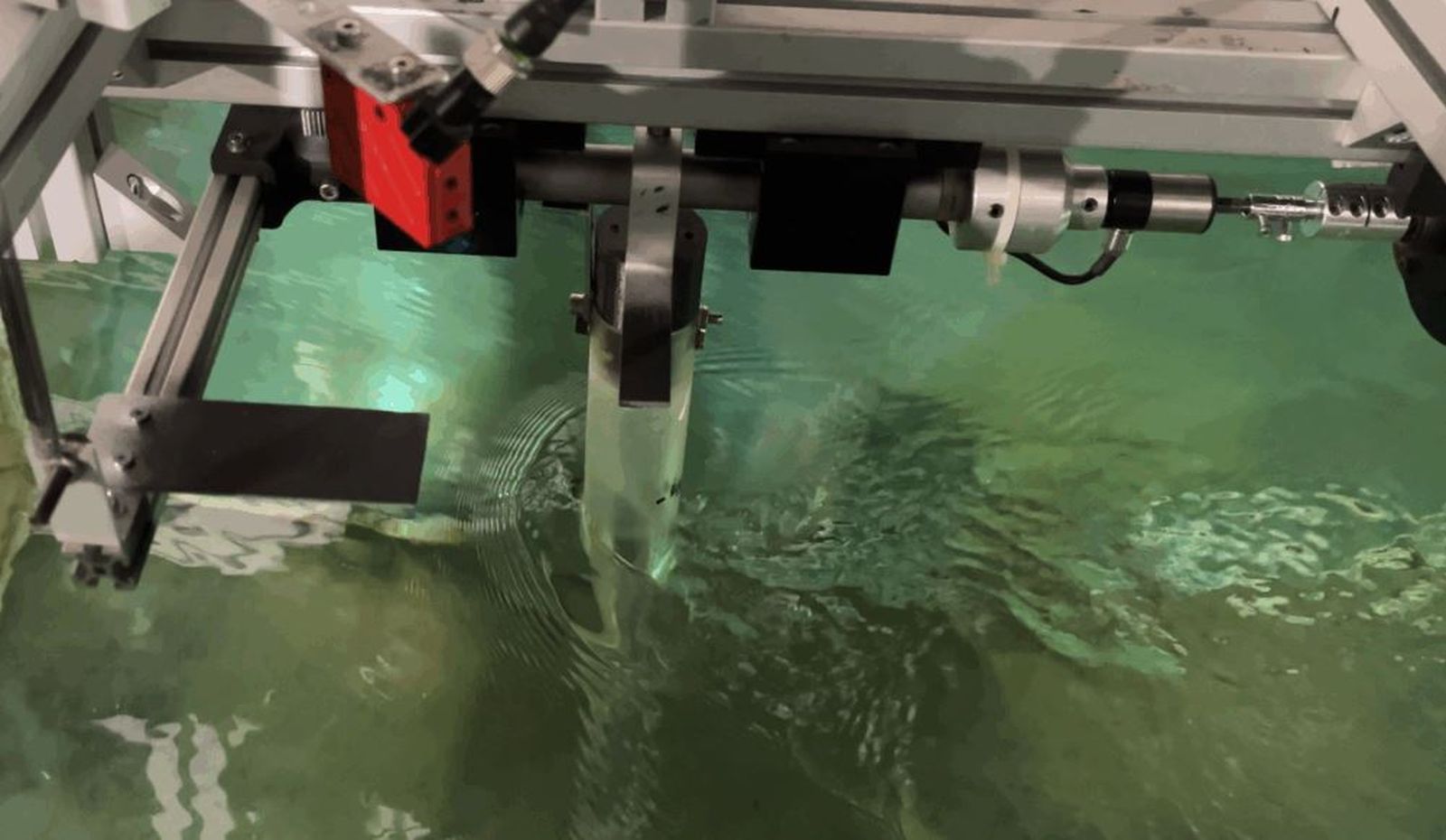 Imagen del experimento