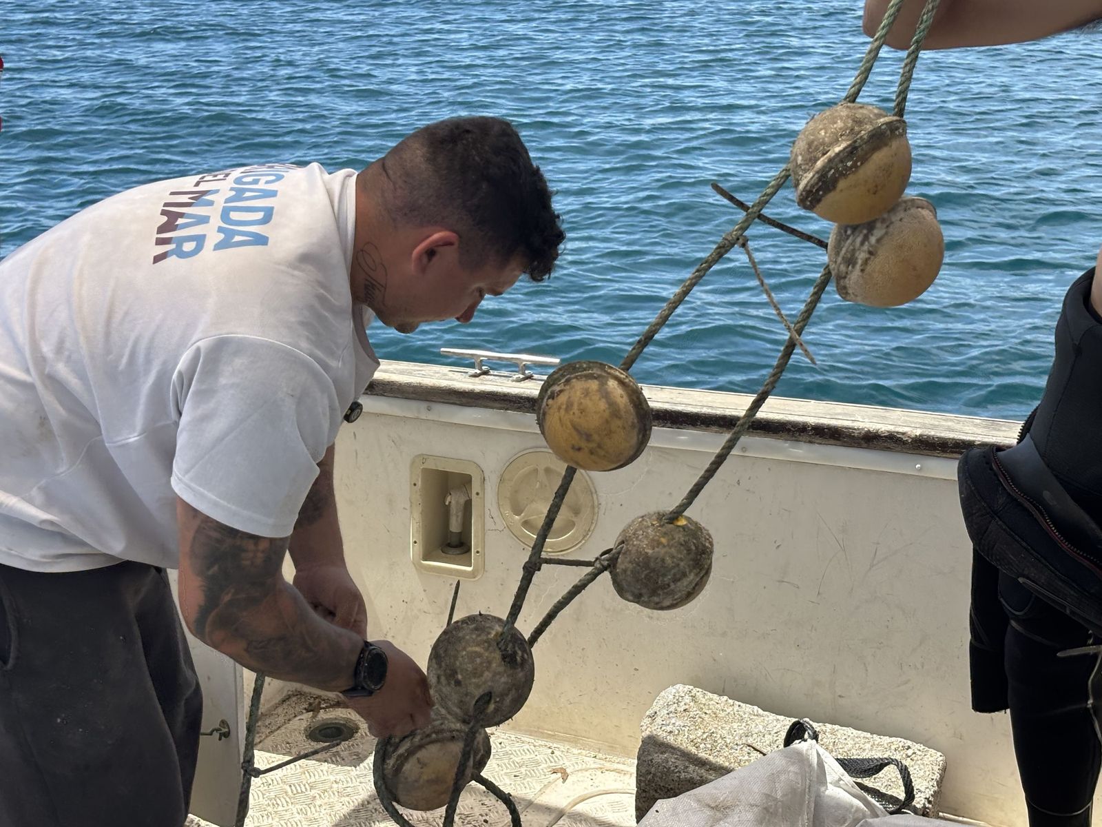 Ceuta blinda sus playas contra las medusas: el trabajo invisible que garantiza un verano seguro en el mar