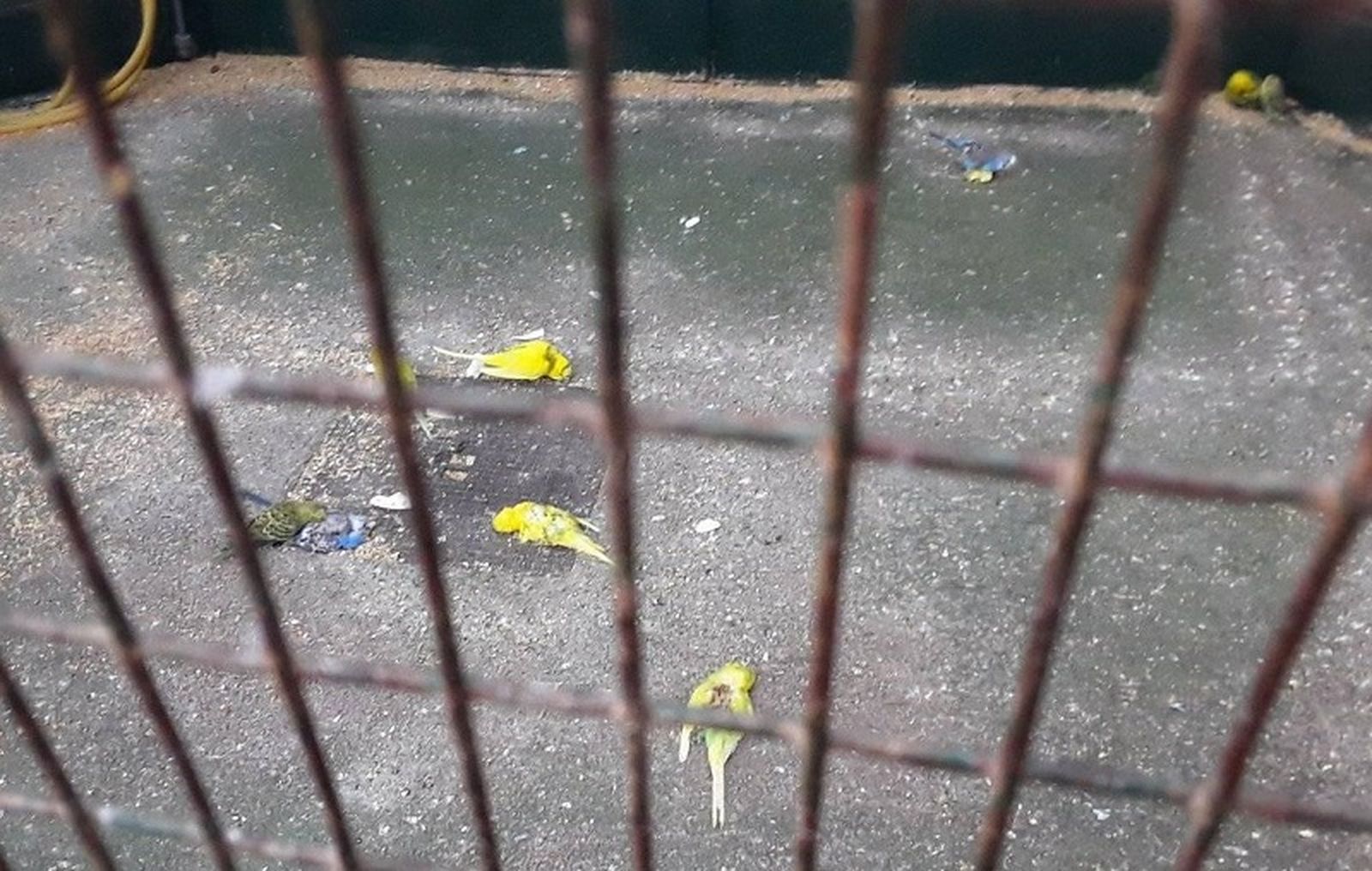 2615_244522682_10159337019279631_6809168389617351343_nweb