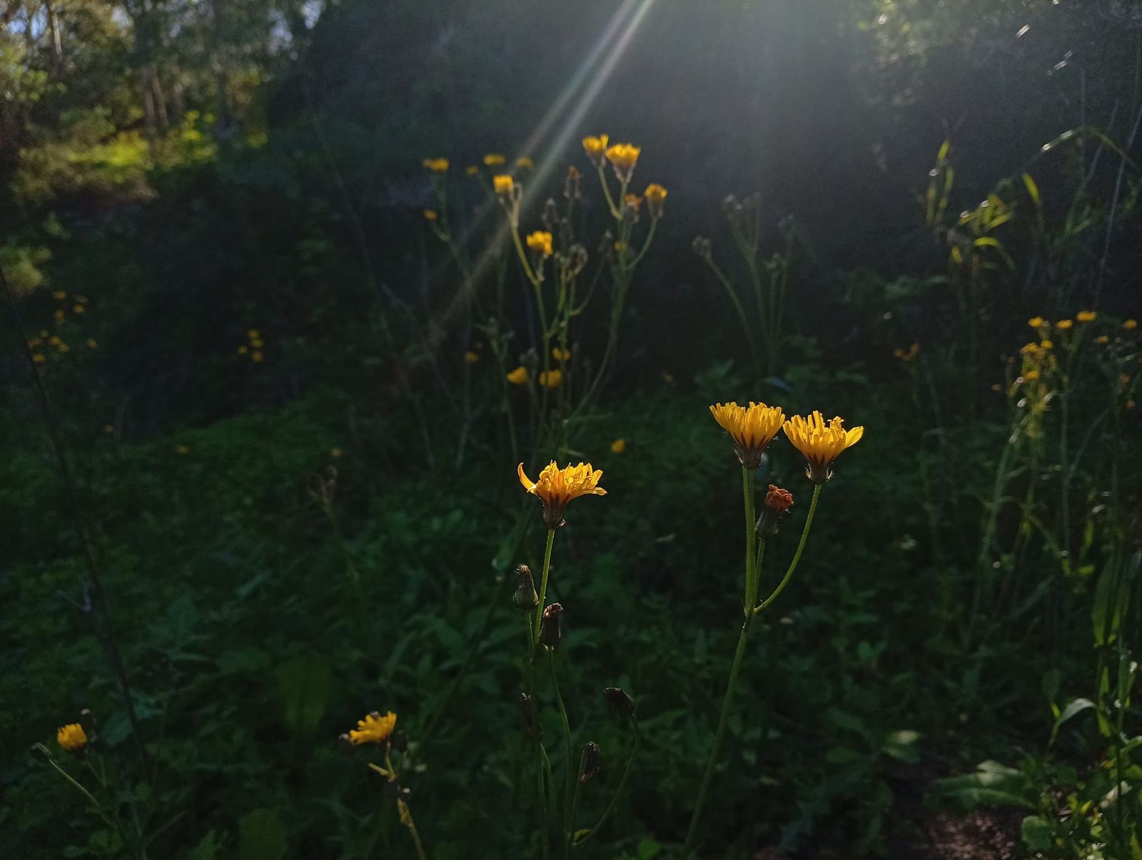 Primer premio del concurso de fotografía del encuentro de corresponsales juveniles