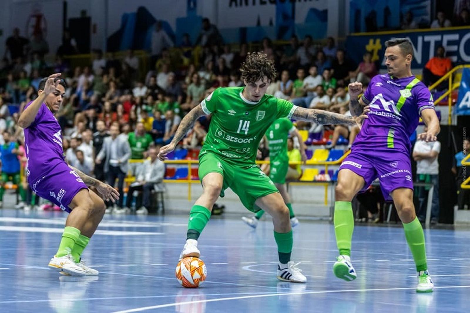 2856_347443965_259554219875805_7598523167699293303_n