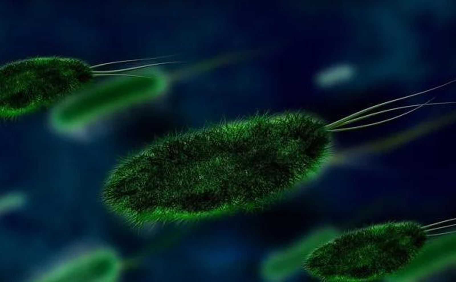 Microbios