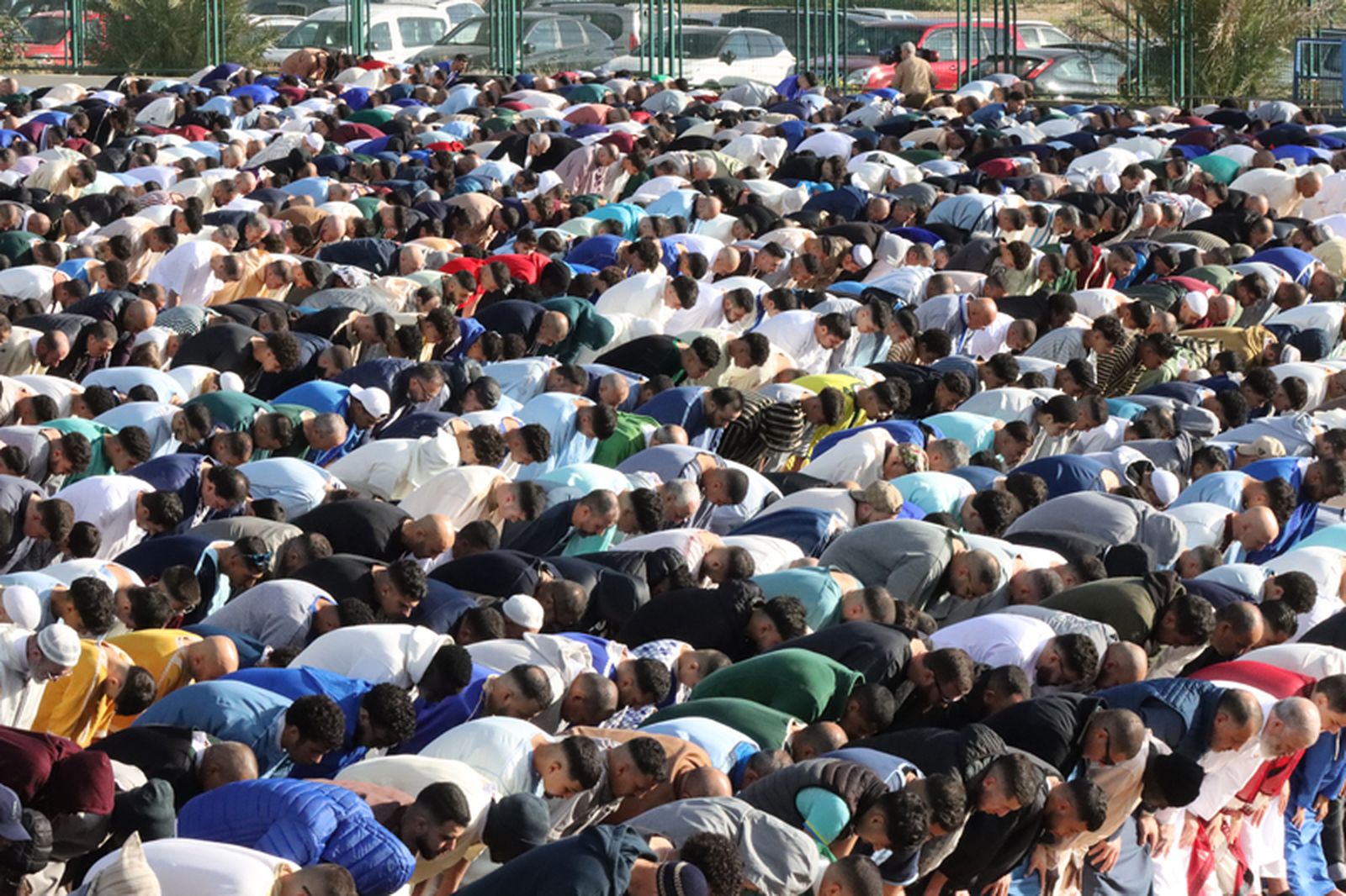 Rezo colectivo por la Musal-la. / FOTO REDUAN