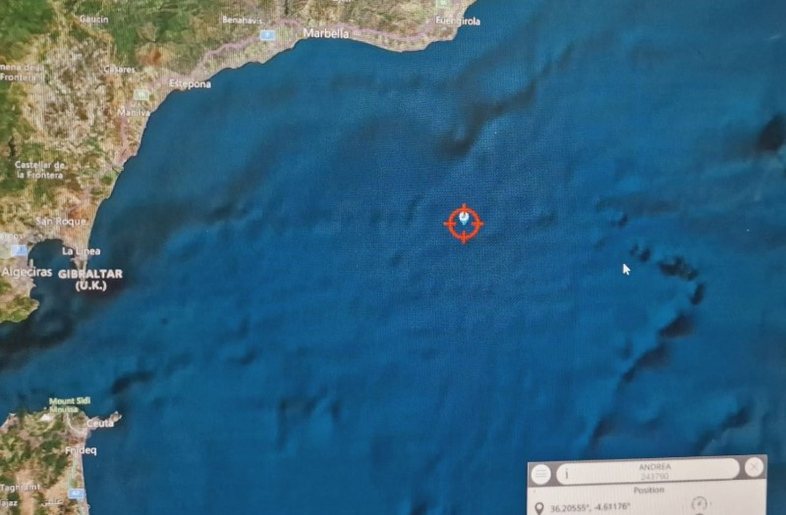 Ubicación de la tortuga 'Andrea' en la costa marbellí / FOTO CECAM