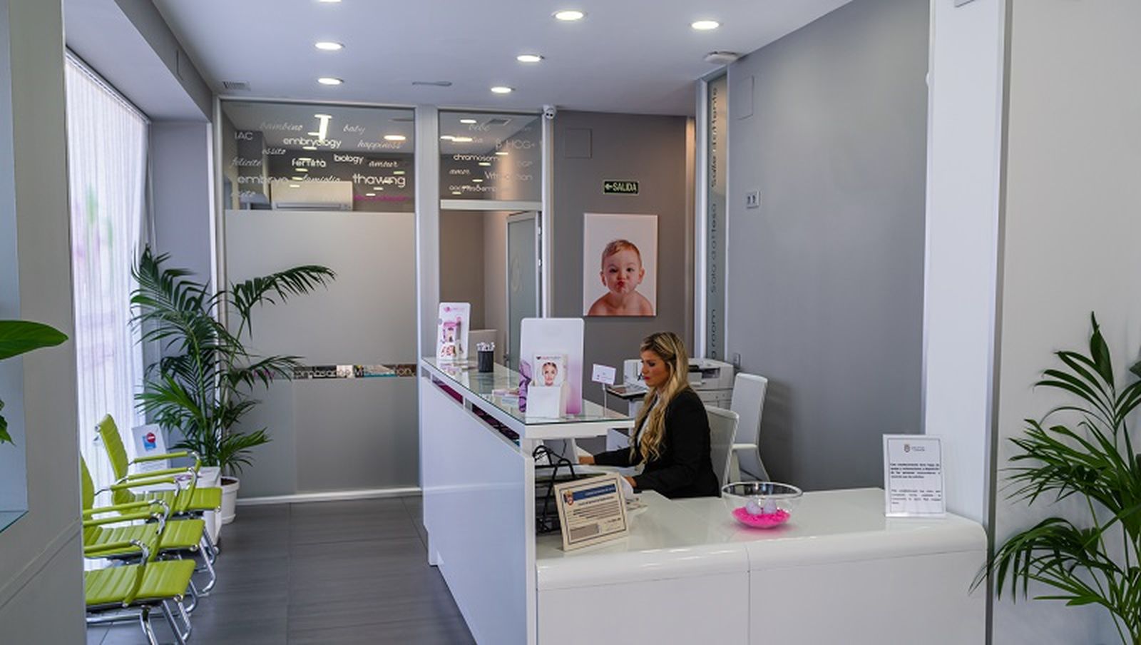 5943_recepcion-ovoclinic-ceuta_1