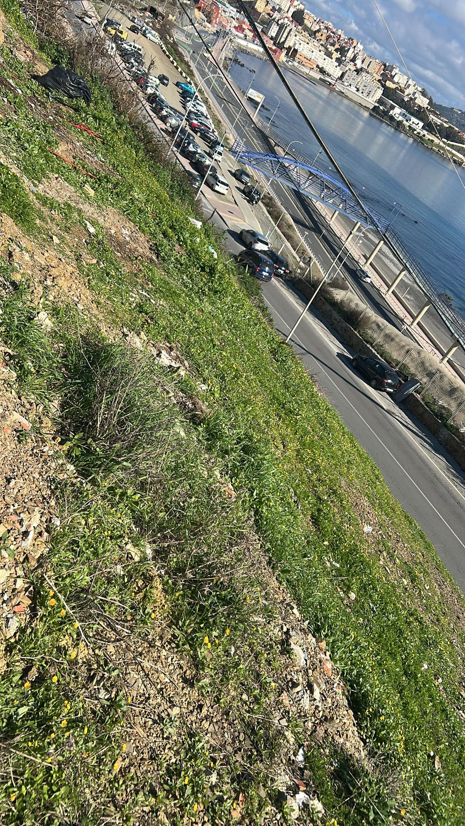 Las Brigadas Verticales limpian residuos en la barriada del Príncipe Felipe.