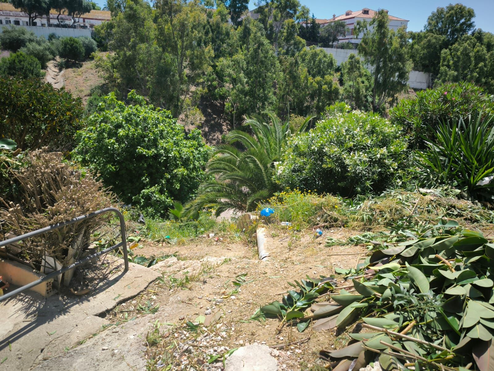 La Ciudad actúa tras las denuncias vecinales y limpia la vaguada de Miramar Alto