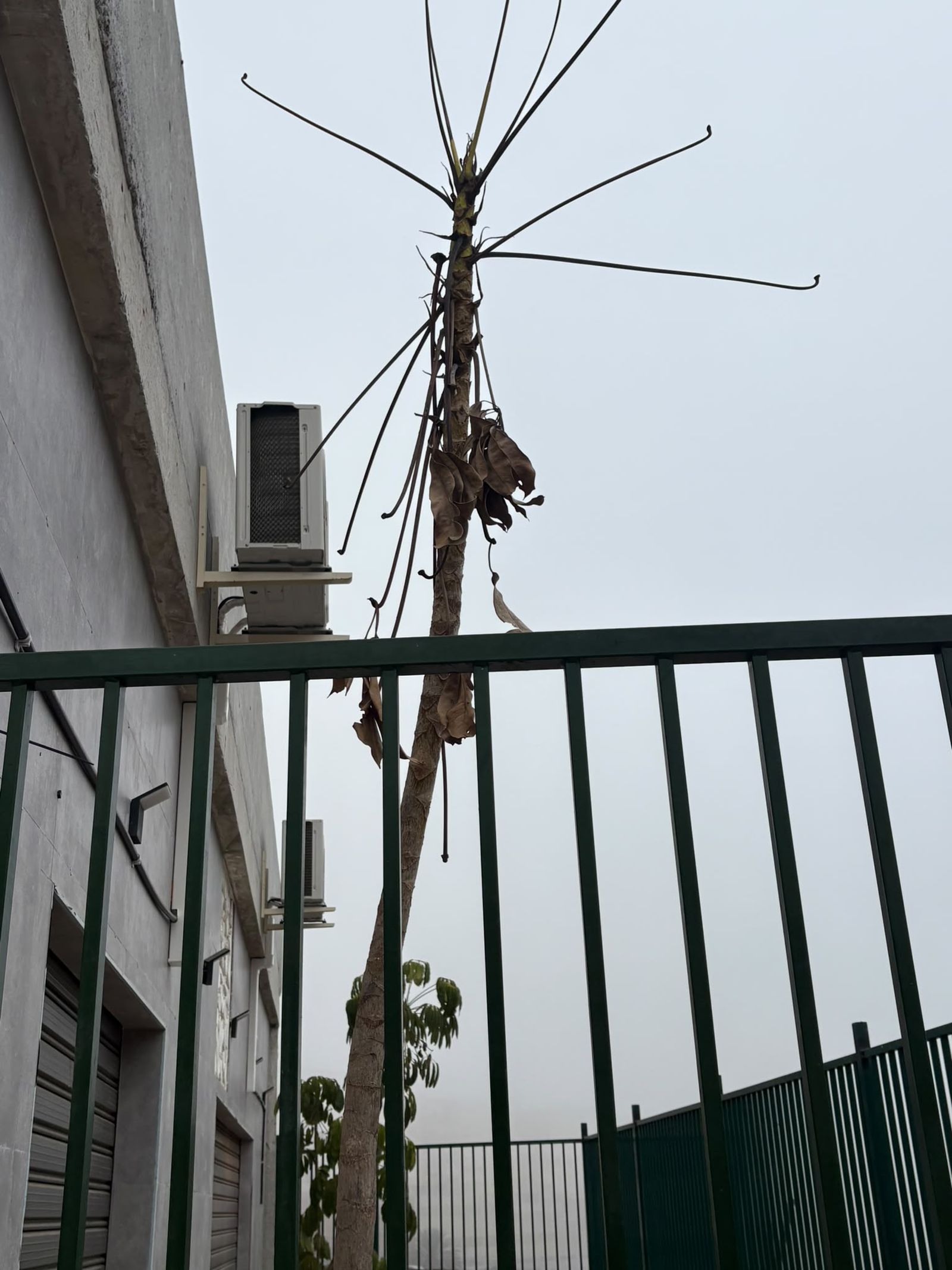 Los vecinos de Nicaragua dicen basta y reclaman una actuación urgente en la zona