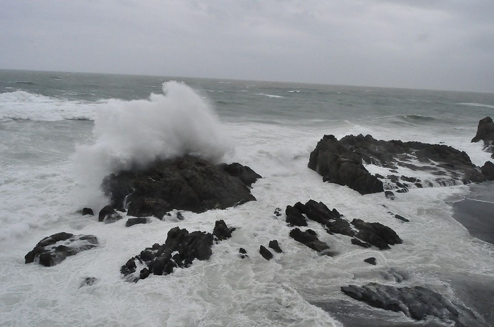 2842_temporal_003