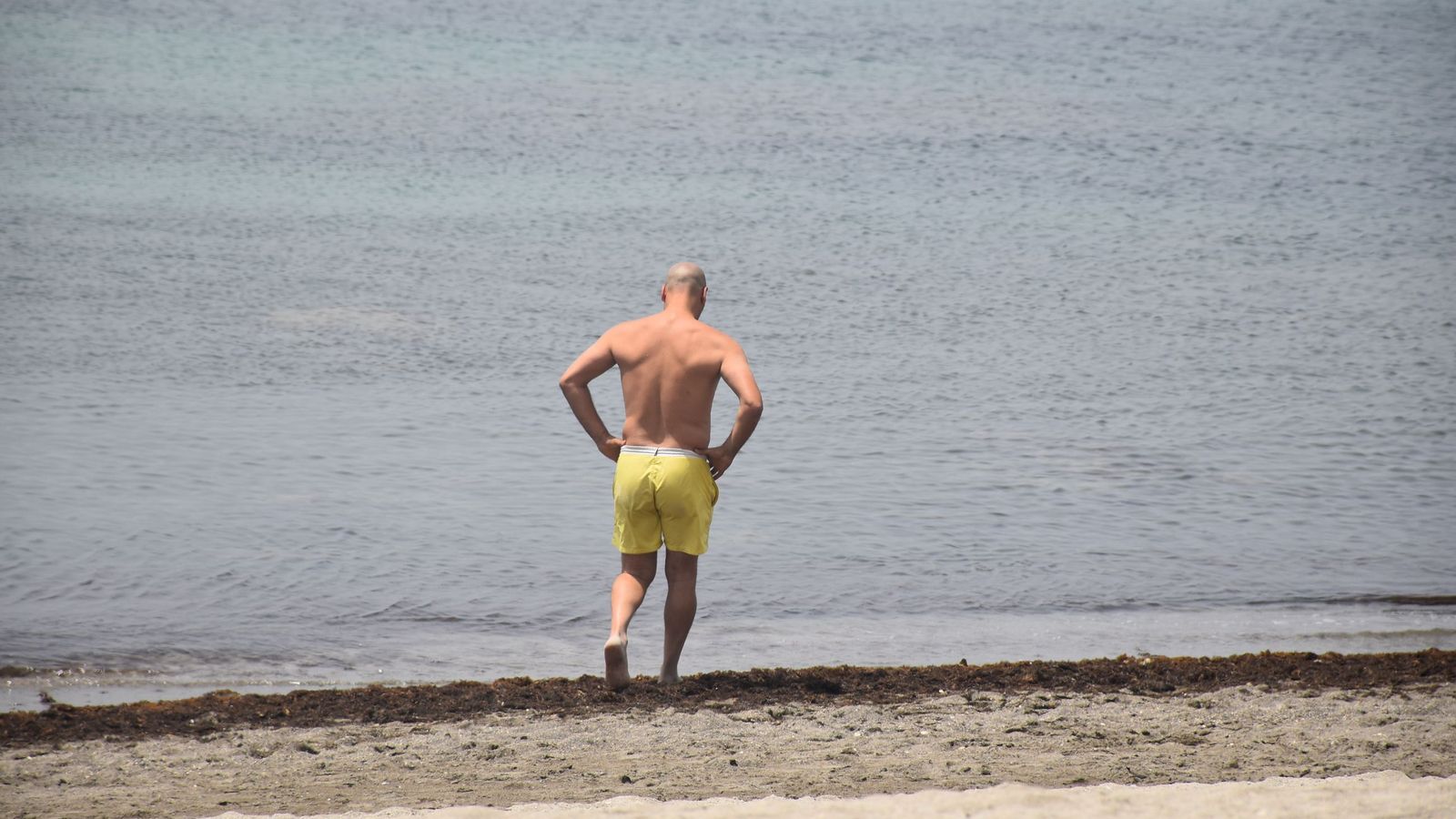 Un bañista pasea sobre el alga asiática en la playa de La Ribera