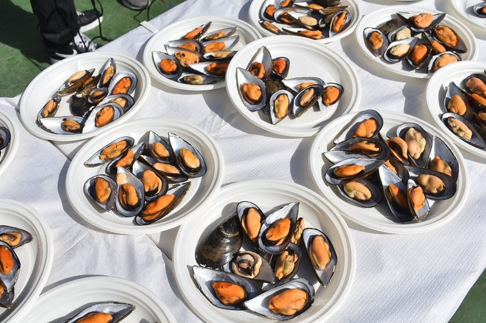 FOTO NICOL'S FOTO NICOL'S