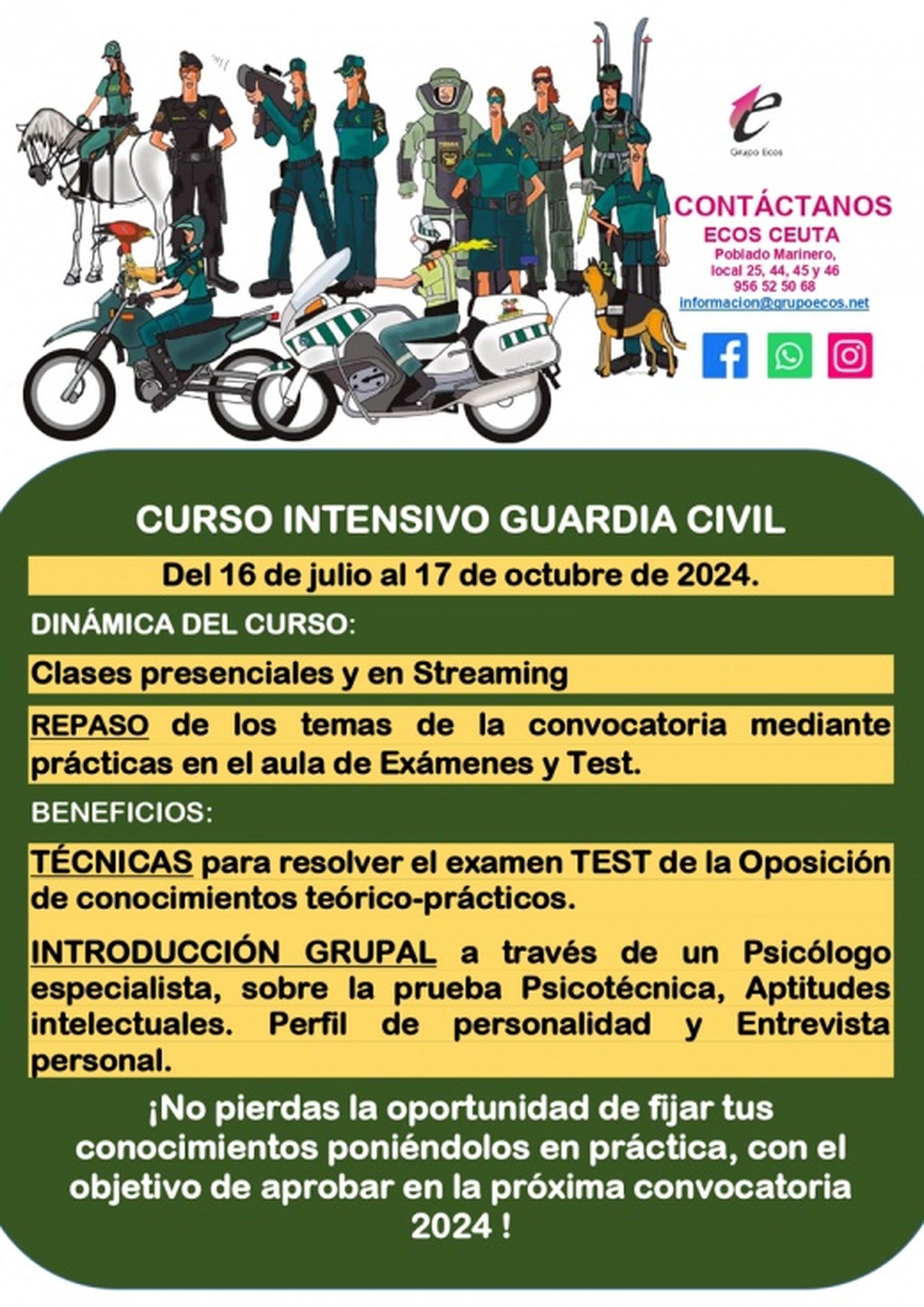 Cartel anunciador del curso intensivo. / FOTO CEDIDA Cartel anunciador del curso intensivo. / FOTO CEDIDA