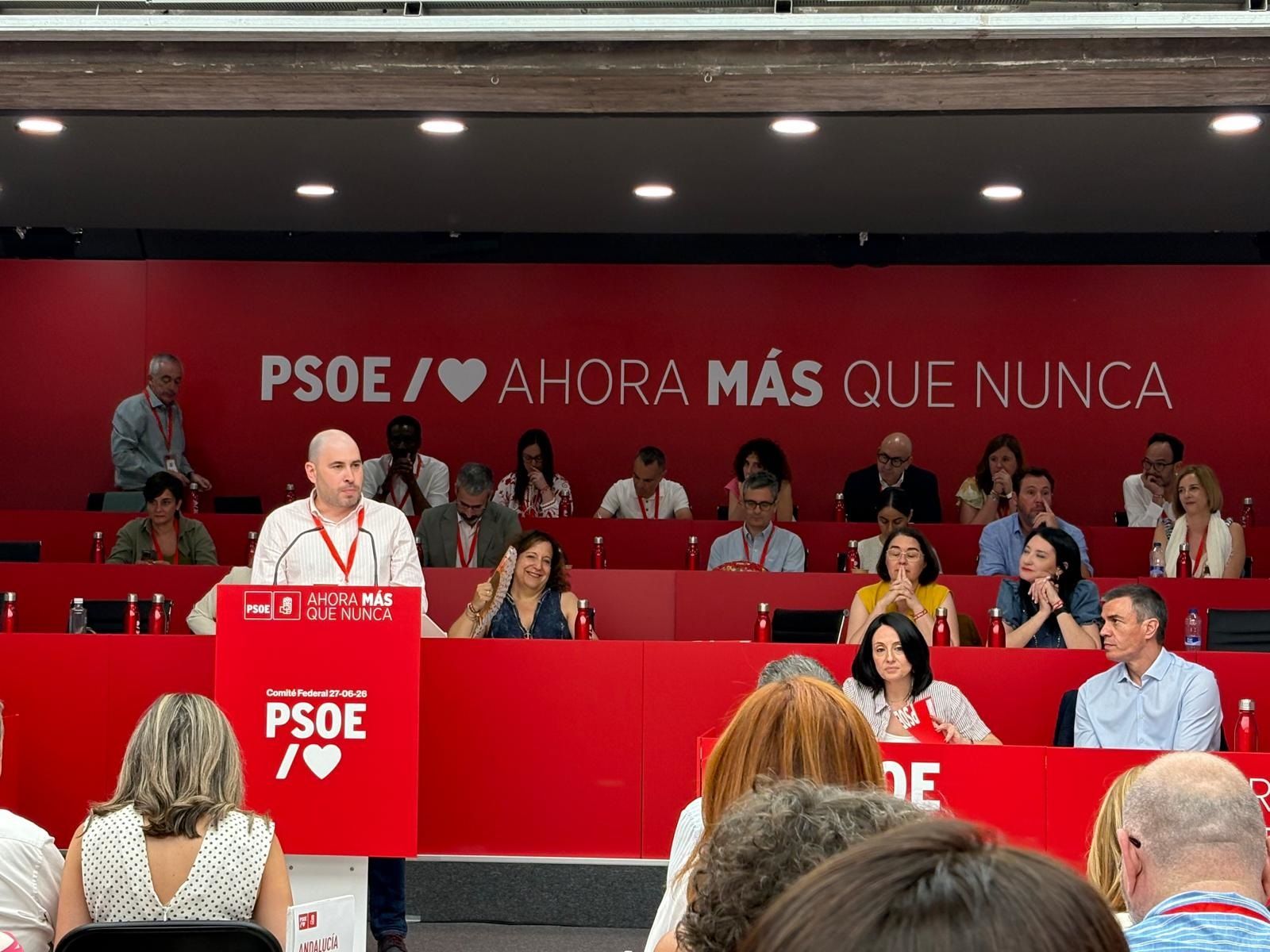 Pérez Triano, durante su intervención ante el Comité Federal del partido
