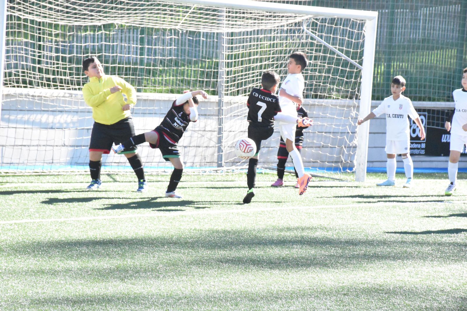 Cinco equipos lideran