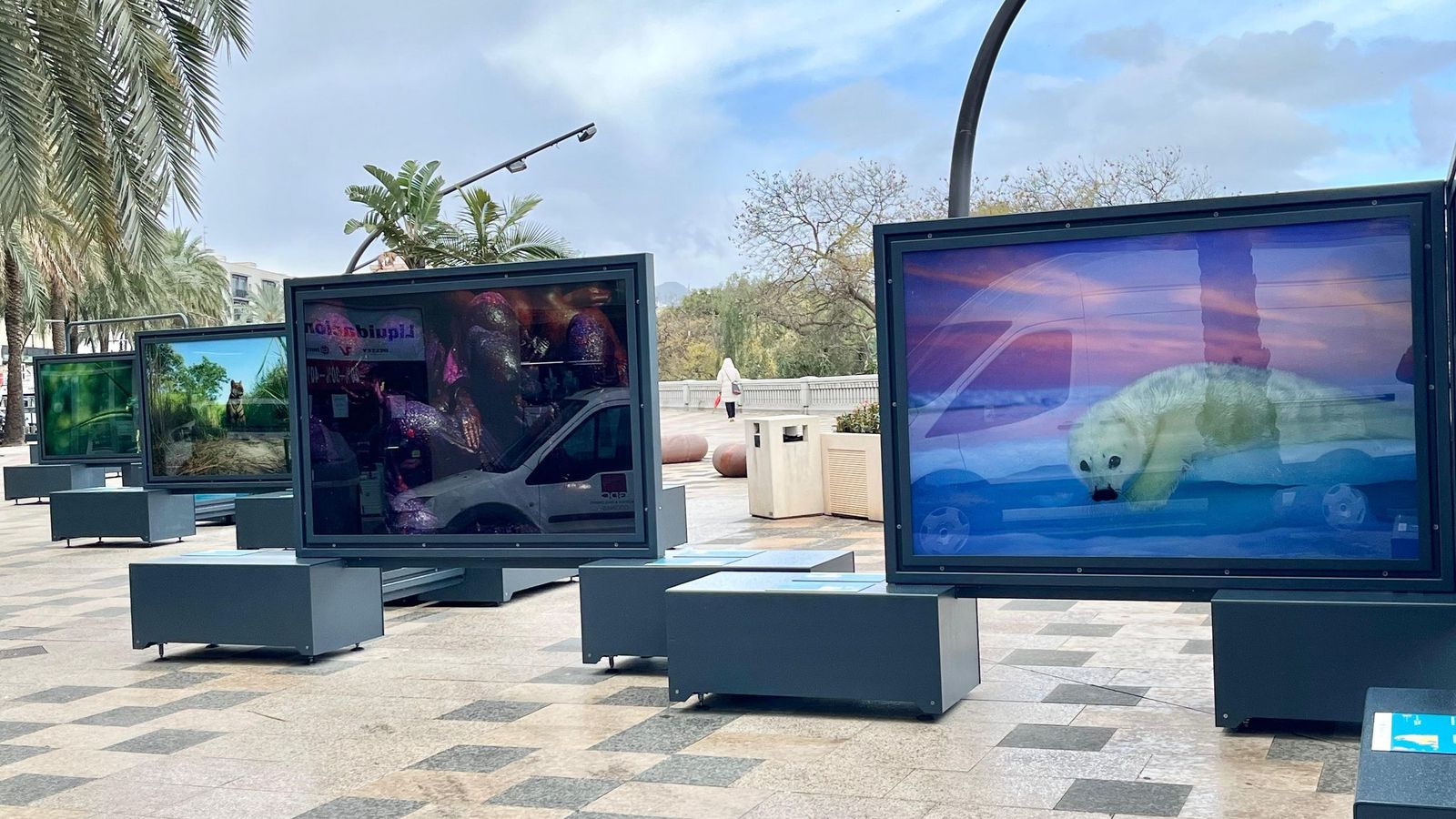 Exposición Colores del mundo inaugurada este martes en el Paseo de La Marina