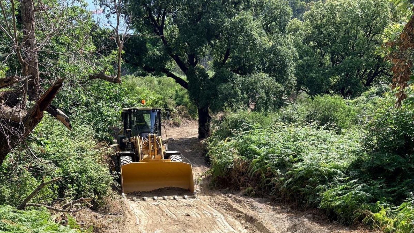 El Parque Móvil lleva más de 20 días realizando labores de limpieza y desbroce de cortafuegos en los montes de Ceuta
