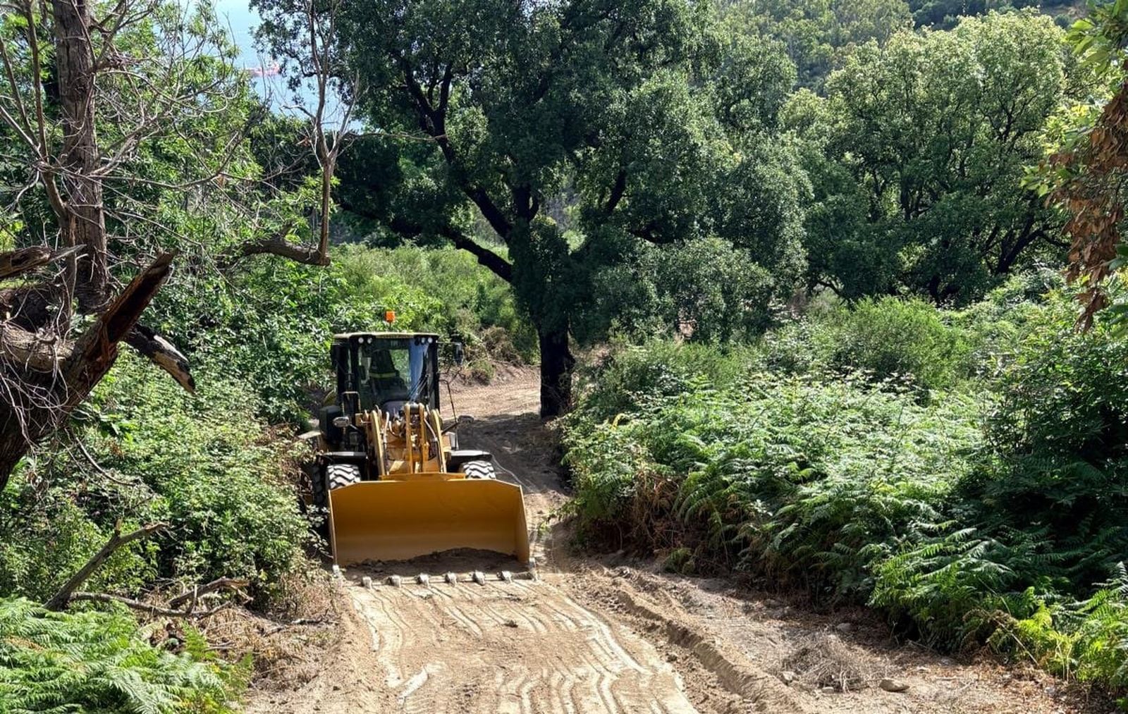 Medios del Parque Móvil realizan labores de limpieza y desbroce de cortafuegos en los montes de Ceuta