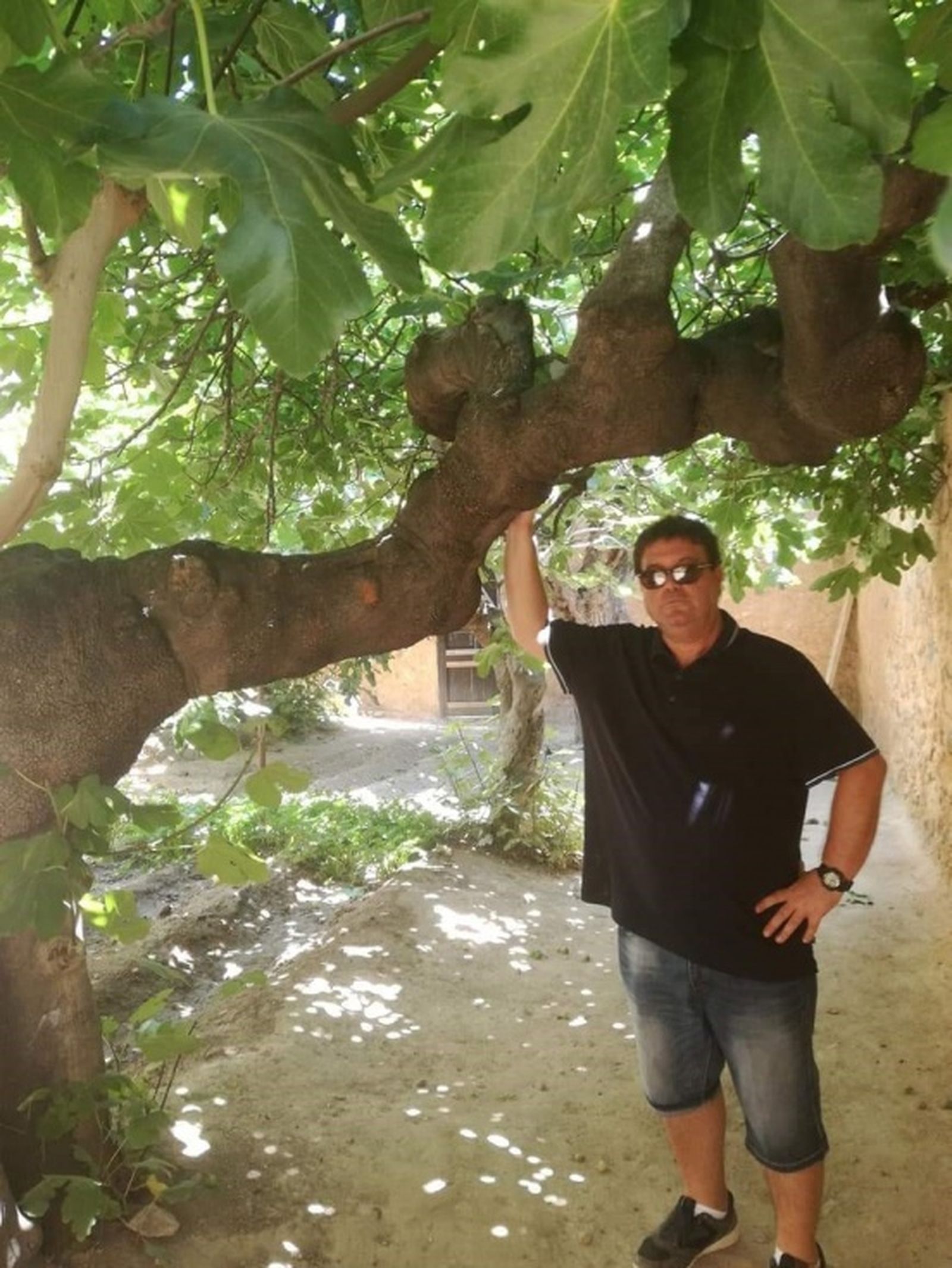 6422_foto-el-almendro