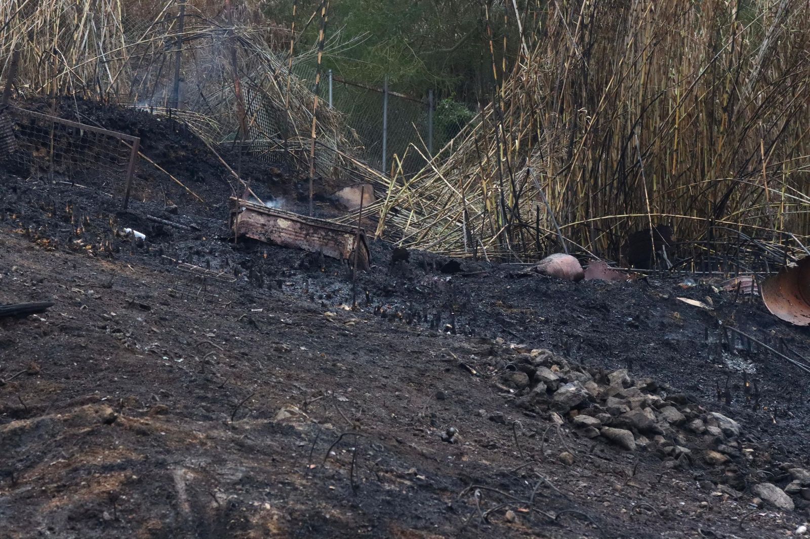 Zona calcinada del Pantano tras el incendio Zona calcinada del Pantano tras el incendio