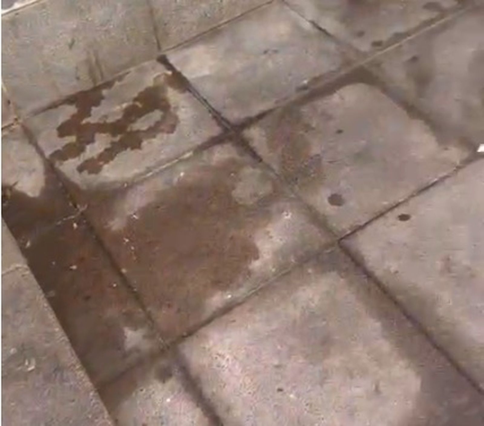 Orines de perro en la barriada de La Estación