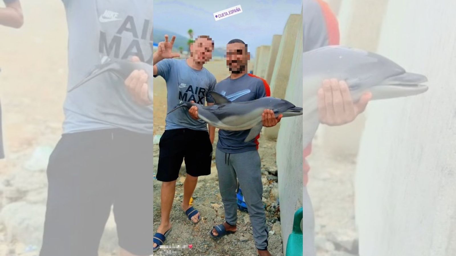 Post publicado por un migrante en su cuenta de instagram donde aparece posando con el delfín muerto en sus brazos