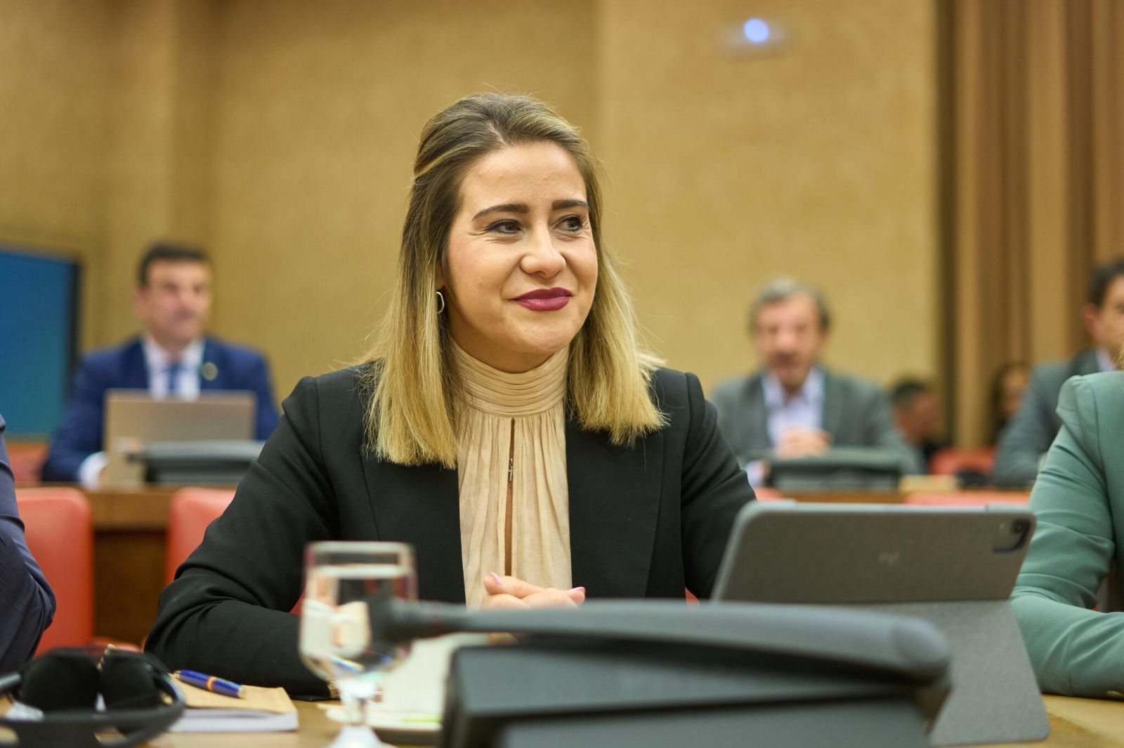 La diputada del PP, Sofía Acedo La diputada del PP, Sofía Acedo