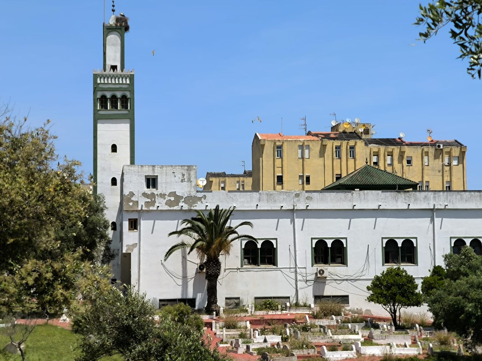 Vistas del cementerio y de la mezquita de Sidi Embarek