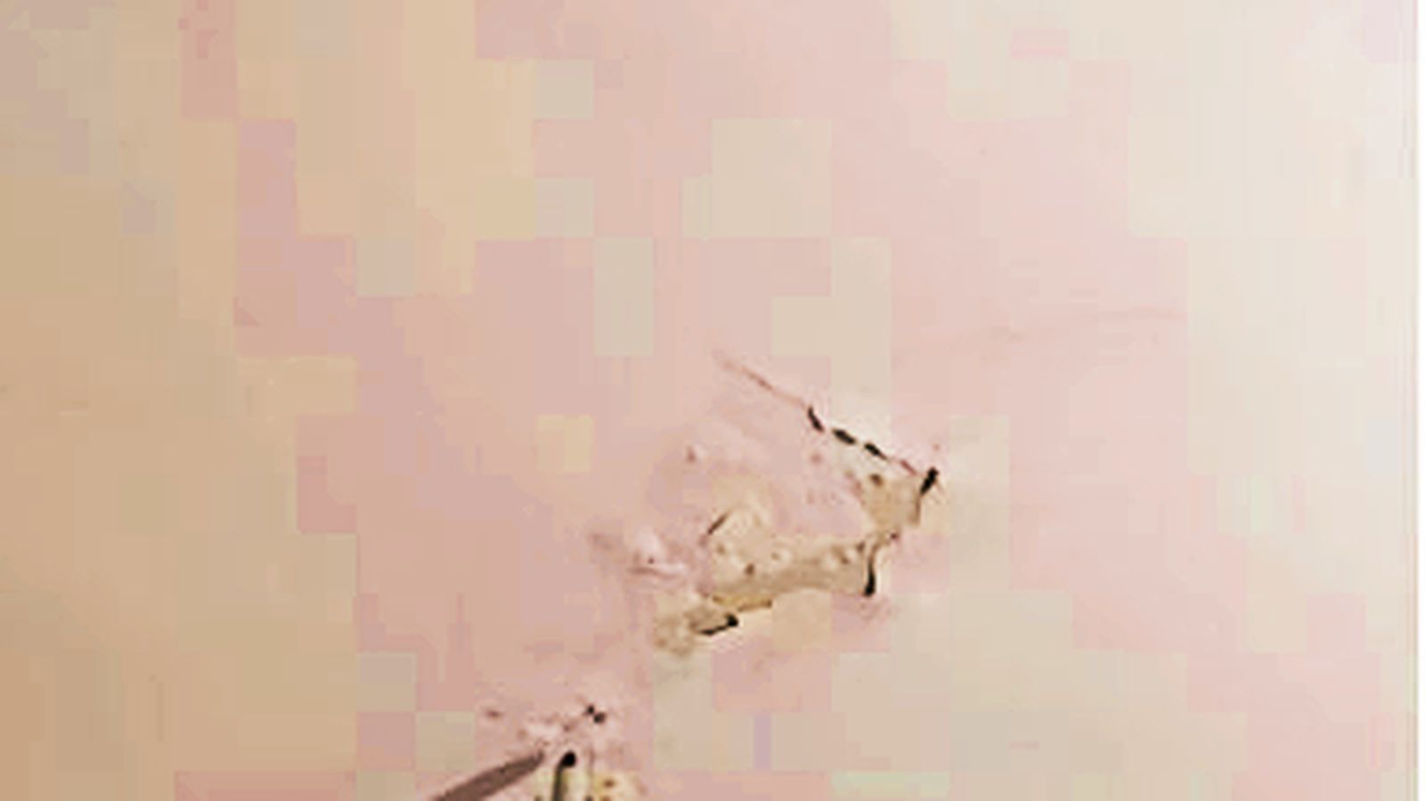 Así está el techo de una vecina