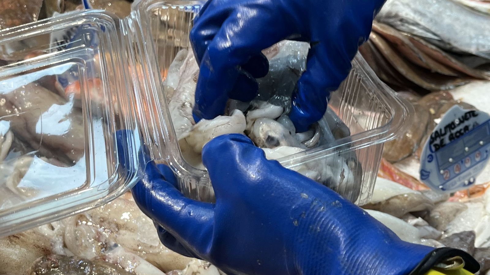 Imágenes de la pescadería de Younes en el Mercado Central.