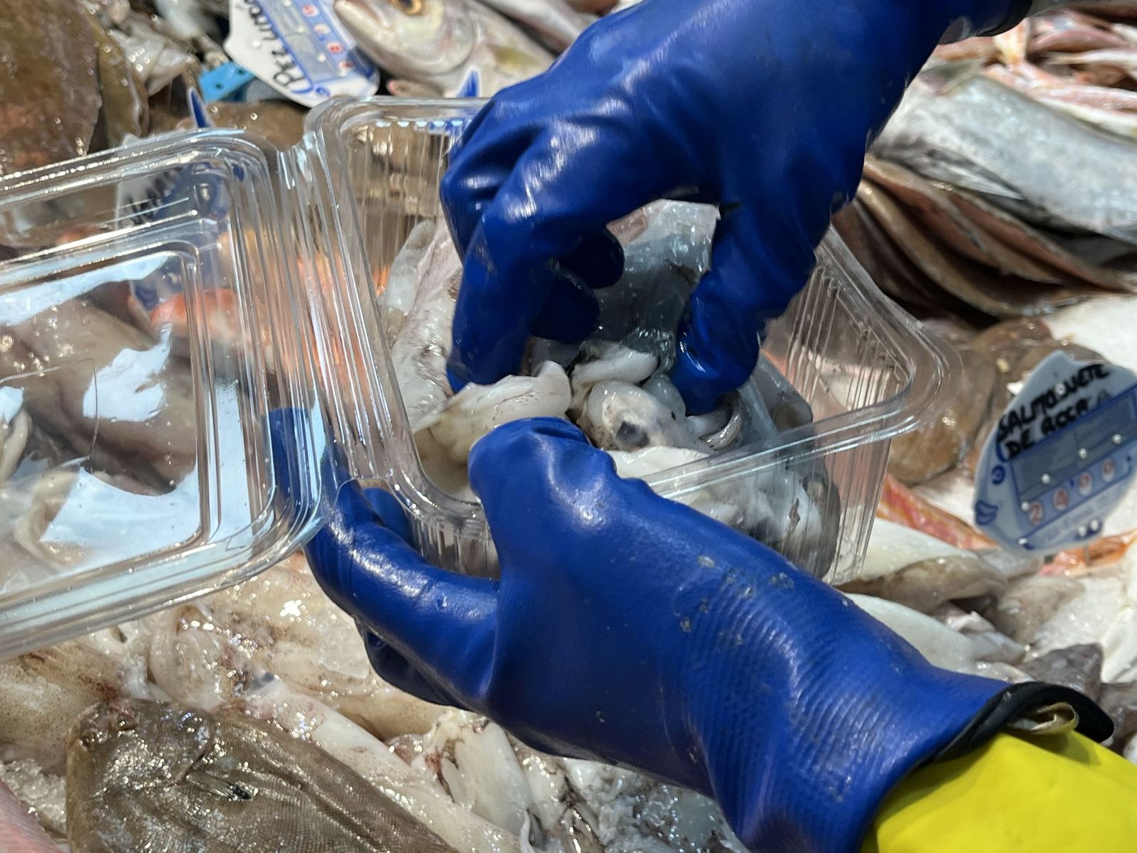 Imágenes de la pescadería de Younes en el Mercado Central.
