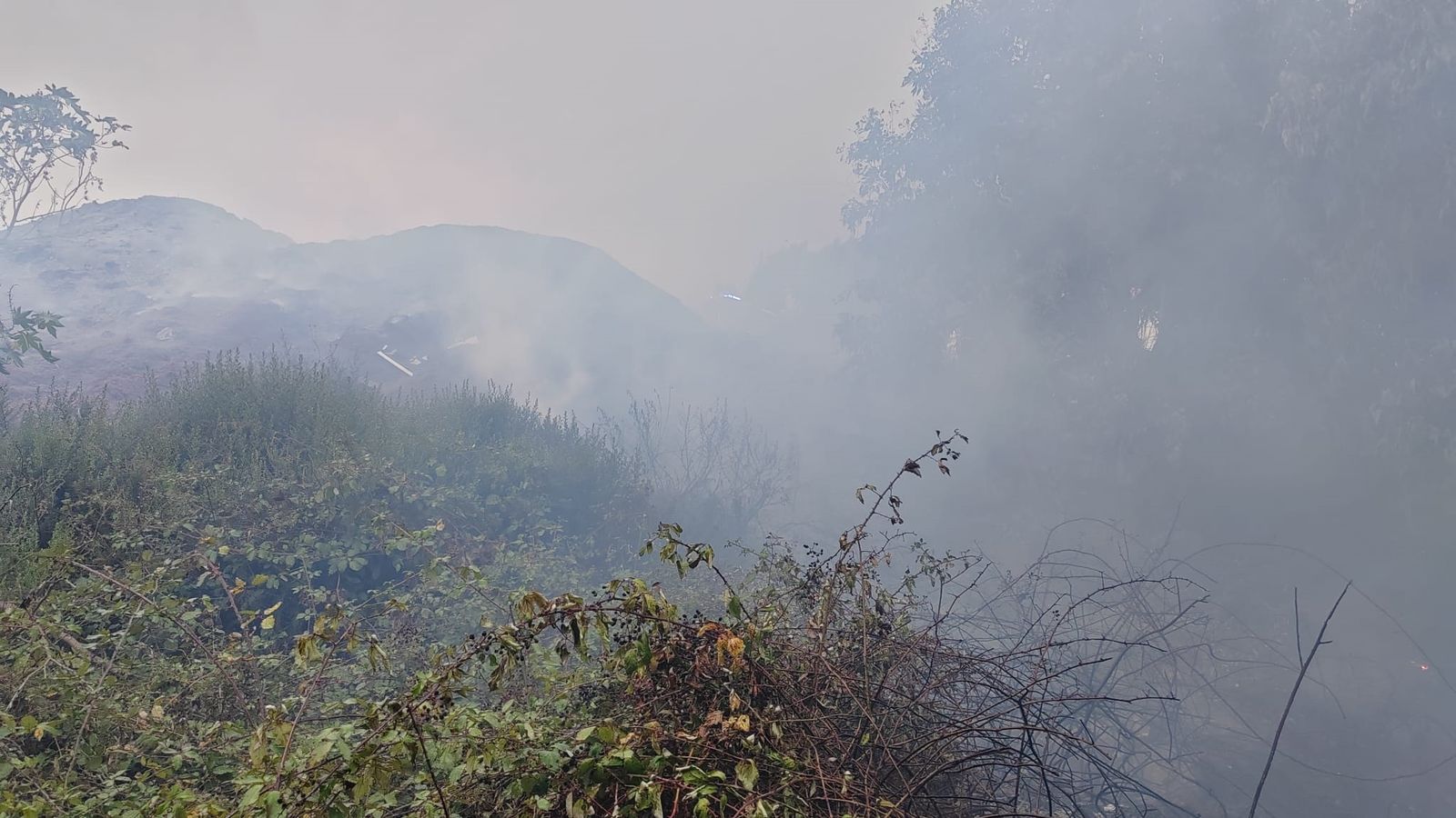 El SEIS extingue un nuevo incendio de monte en un asentamiento de Calamocarro