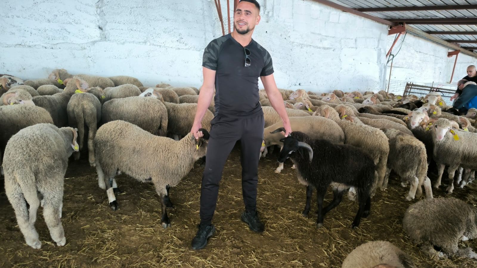 Arranca la cuenta atrás para la Fiesta del Cordero en Ceuta