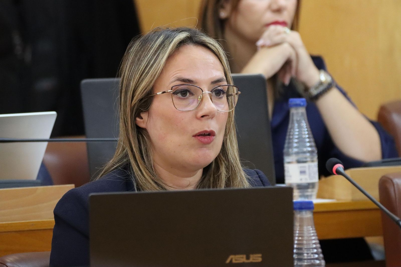 La consejera de Educación, Cultura y Juventud, Pilar Orozco, durante el último pleno de octubre La consejera de Educación, Cultura y Juventud, Pilar Orozco, durante el último pleno de octubre